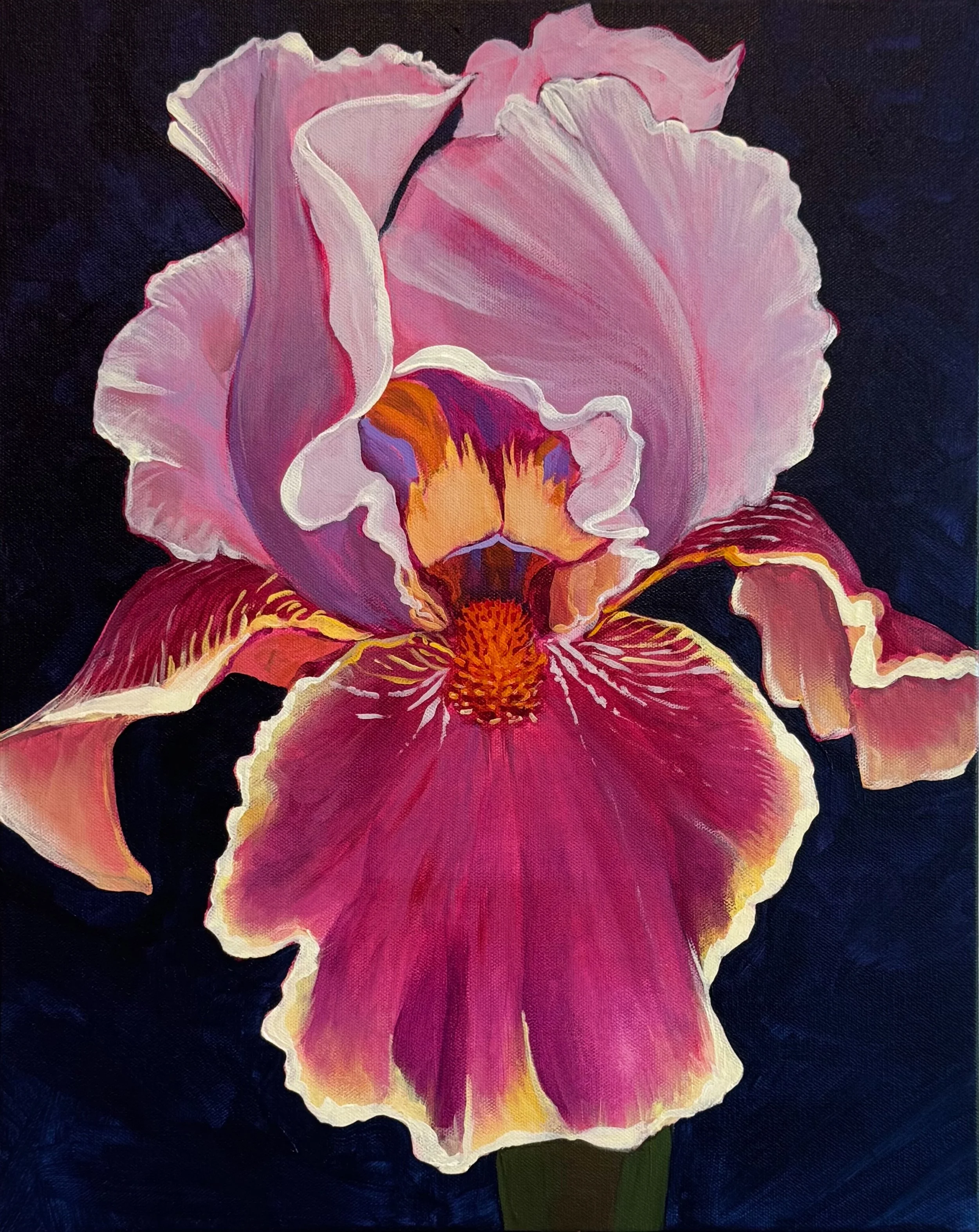 IrisStudy copy.JPG