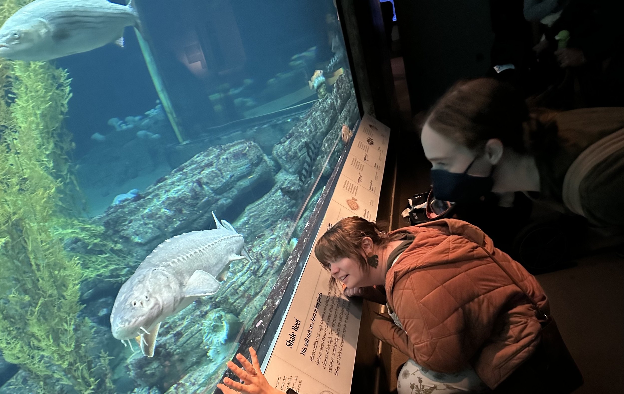 Aquarium Enjoyment.jpg