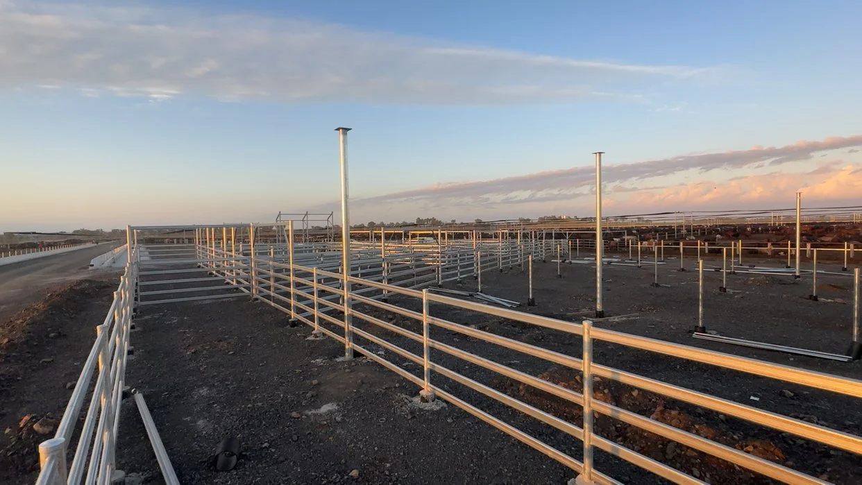 Cattle Rail, QLD