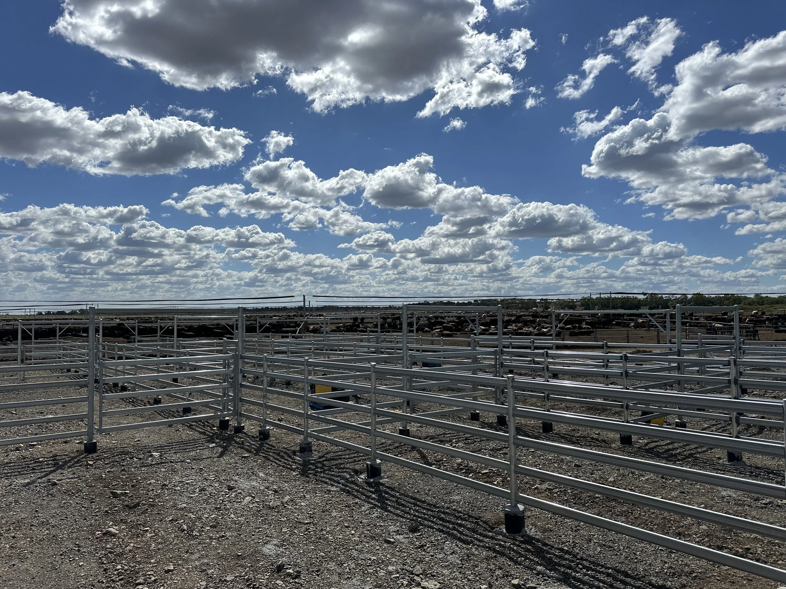 Cattle Rail, QLD