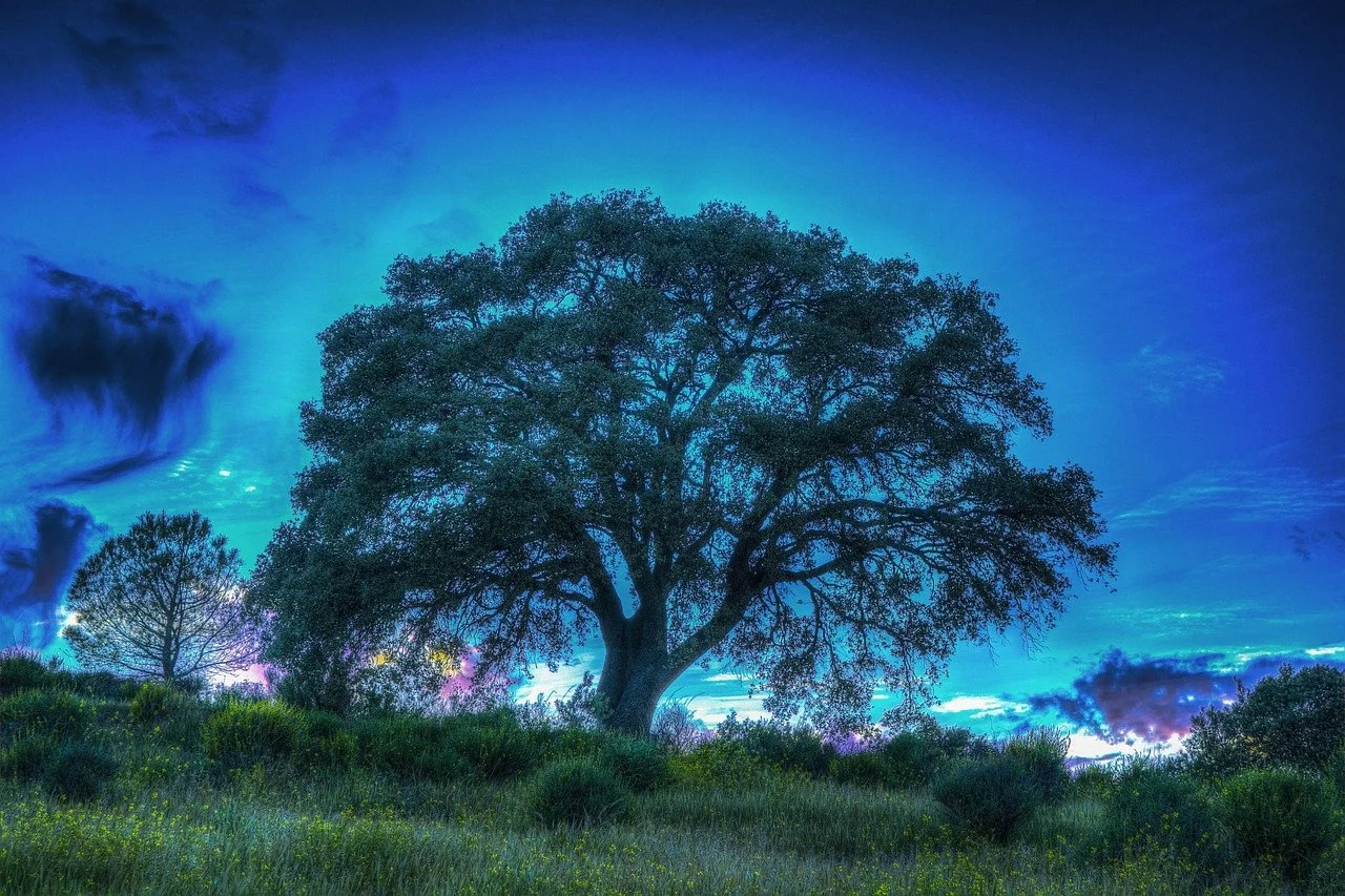 Solar Plexus - Subliminals