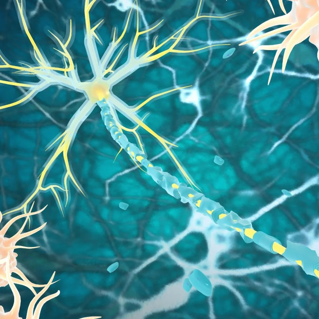 Endocrine System Healing &amp; Upgrading