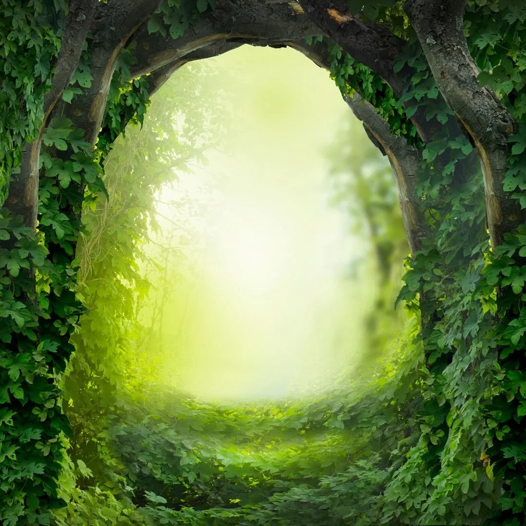 Inner Earth Realm