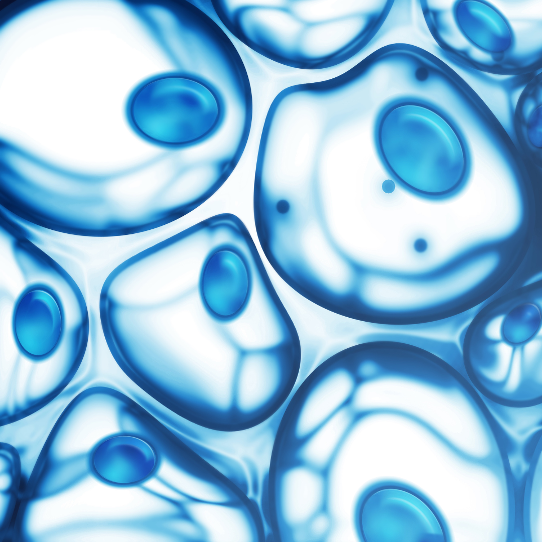 Endocrine Series - Adrenals