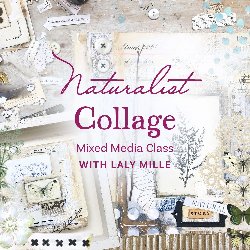 Naturalist Collage