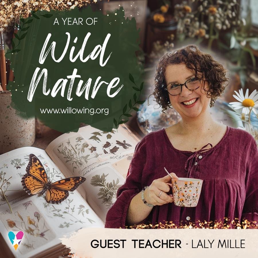 A wild new creative adventure