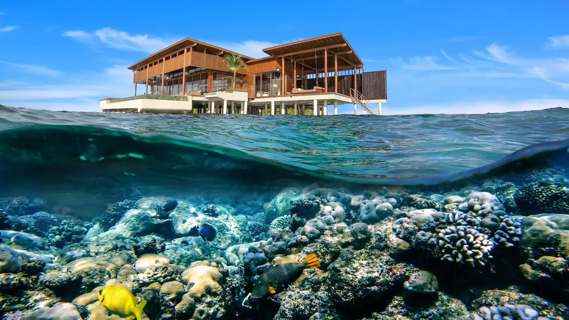 Park Hyatt Maldives