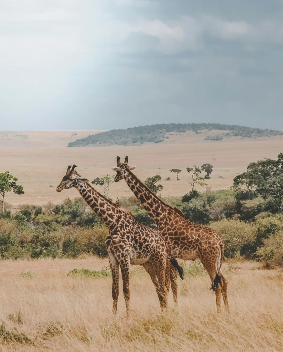 Botswana