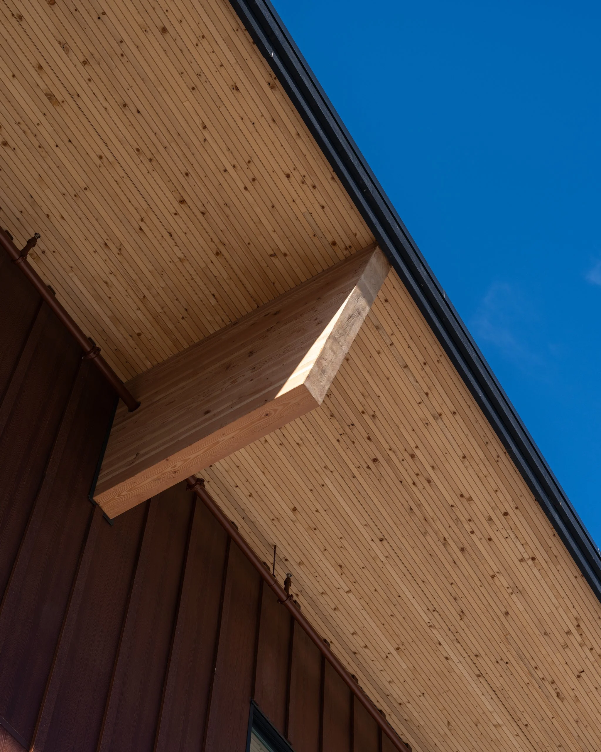 sitelines-lund-web-13.jpg