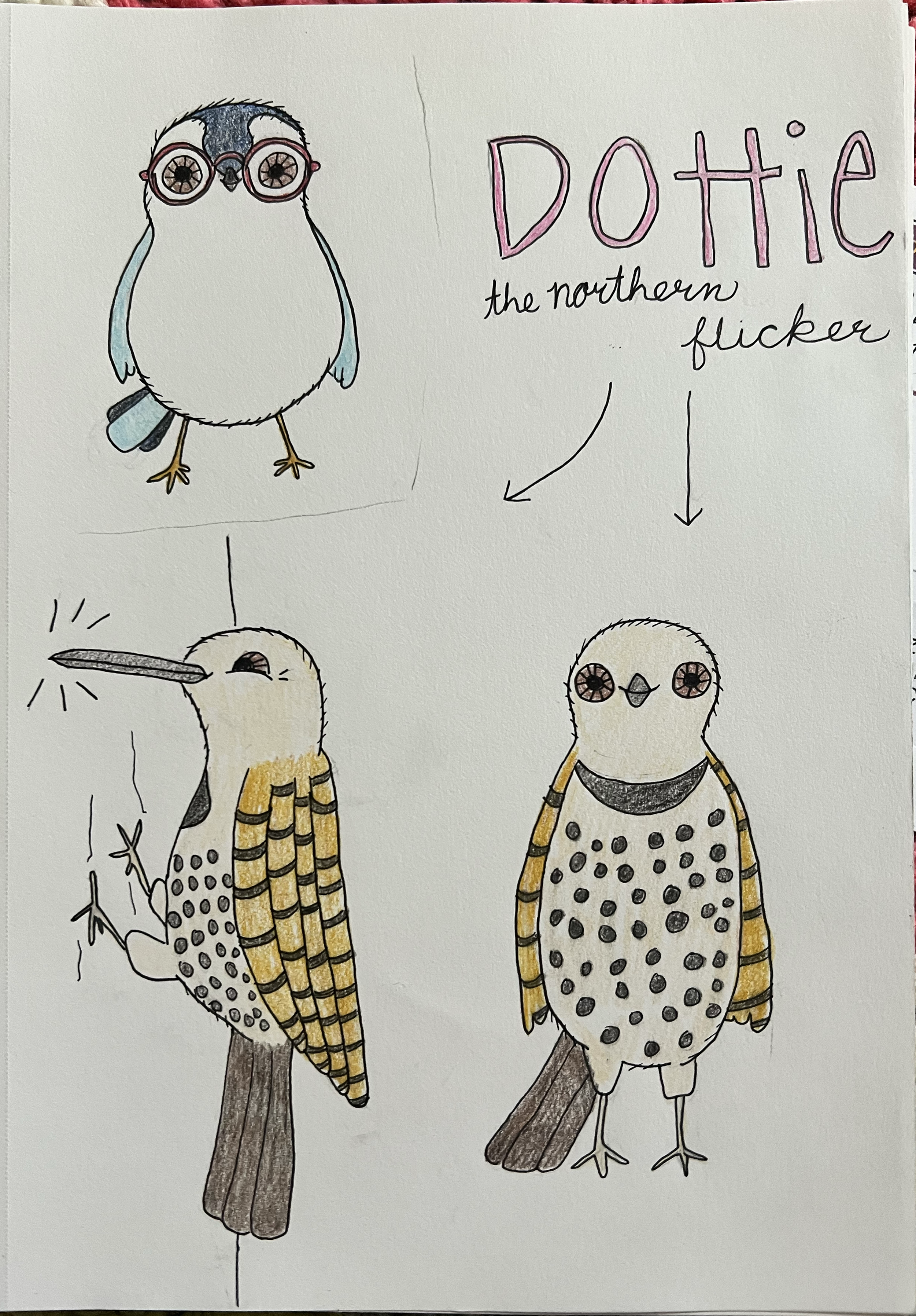Dottie-sketch