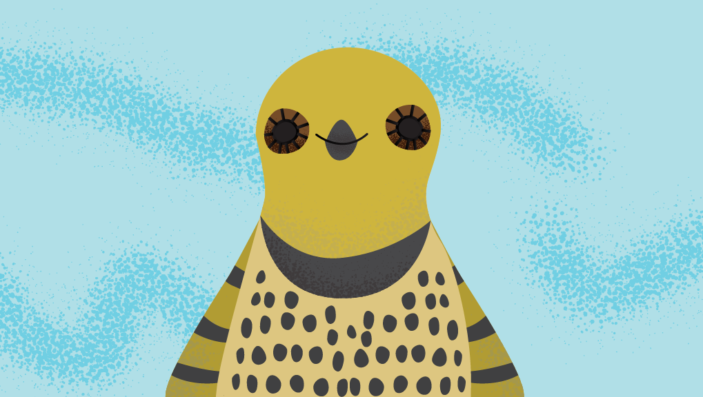 Dottie northern flicker