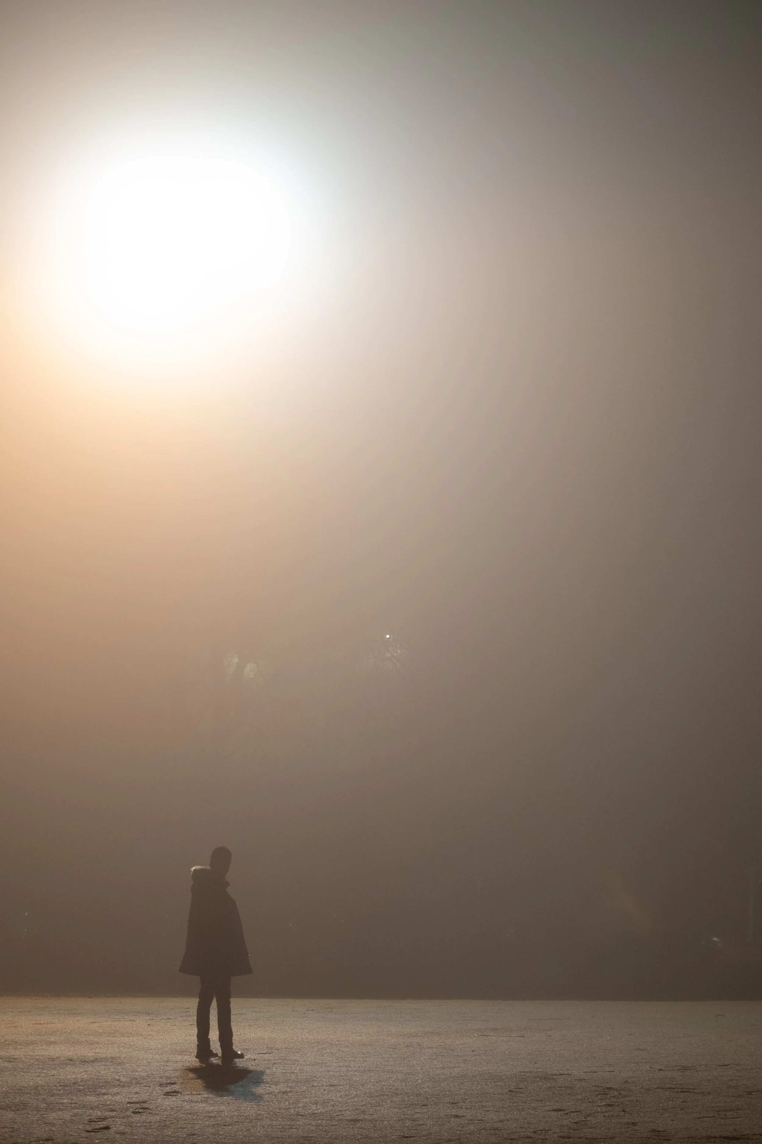 231223-0046-MTaylor copy.jpg