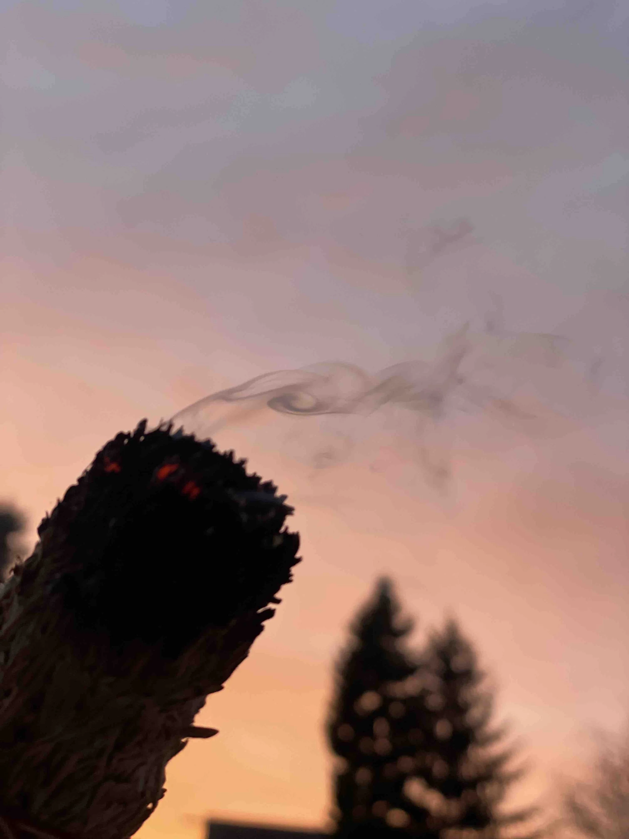 räucher bündel in abendsonne.jpg