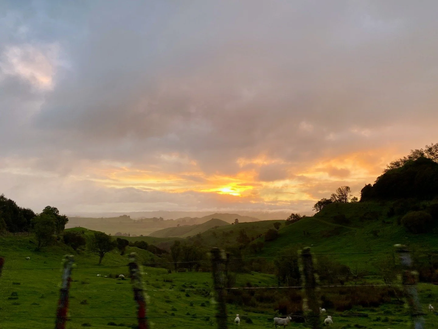 Life is 100000000x better when it's not winter. And lamb season? Unmatched. I'll happily watch some lambs frolic in the hills any day.
Bring on the sun.