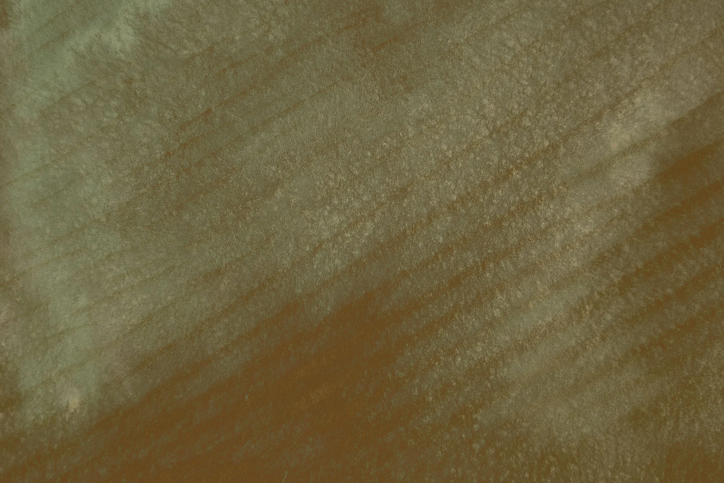 Close-up of a textured surface with a mix of green and brown tones.