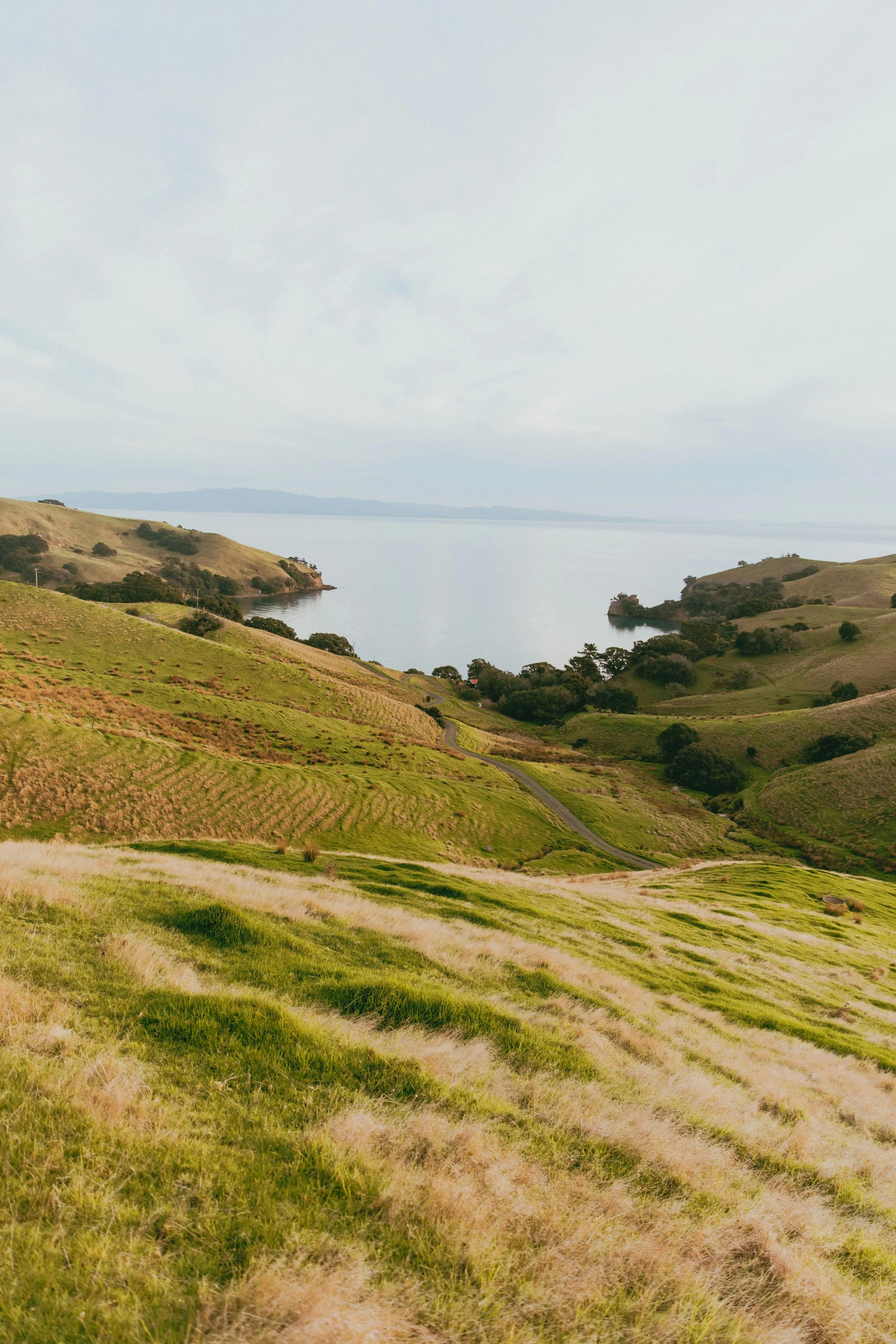 Scenic view of rolling green hills leading to a body of water under a cloudy sky.