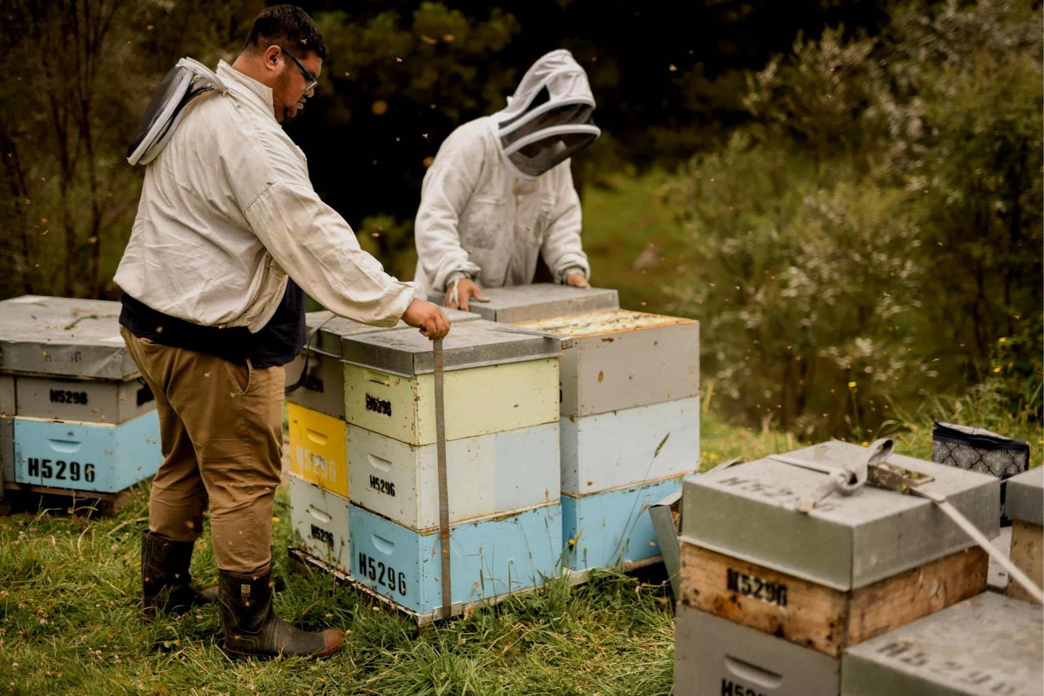 Two beekeepers inspecting beehives outdoors in a grassy area surrounded by trees; one beekeeper is holding a smoker and the other is wearing a bee suit with a veil.