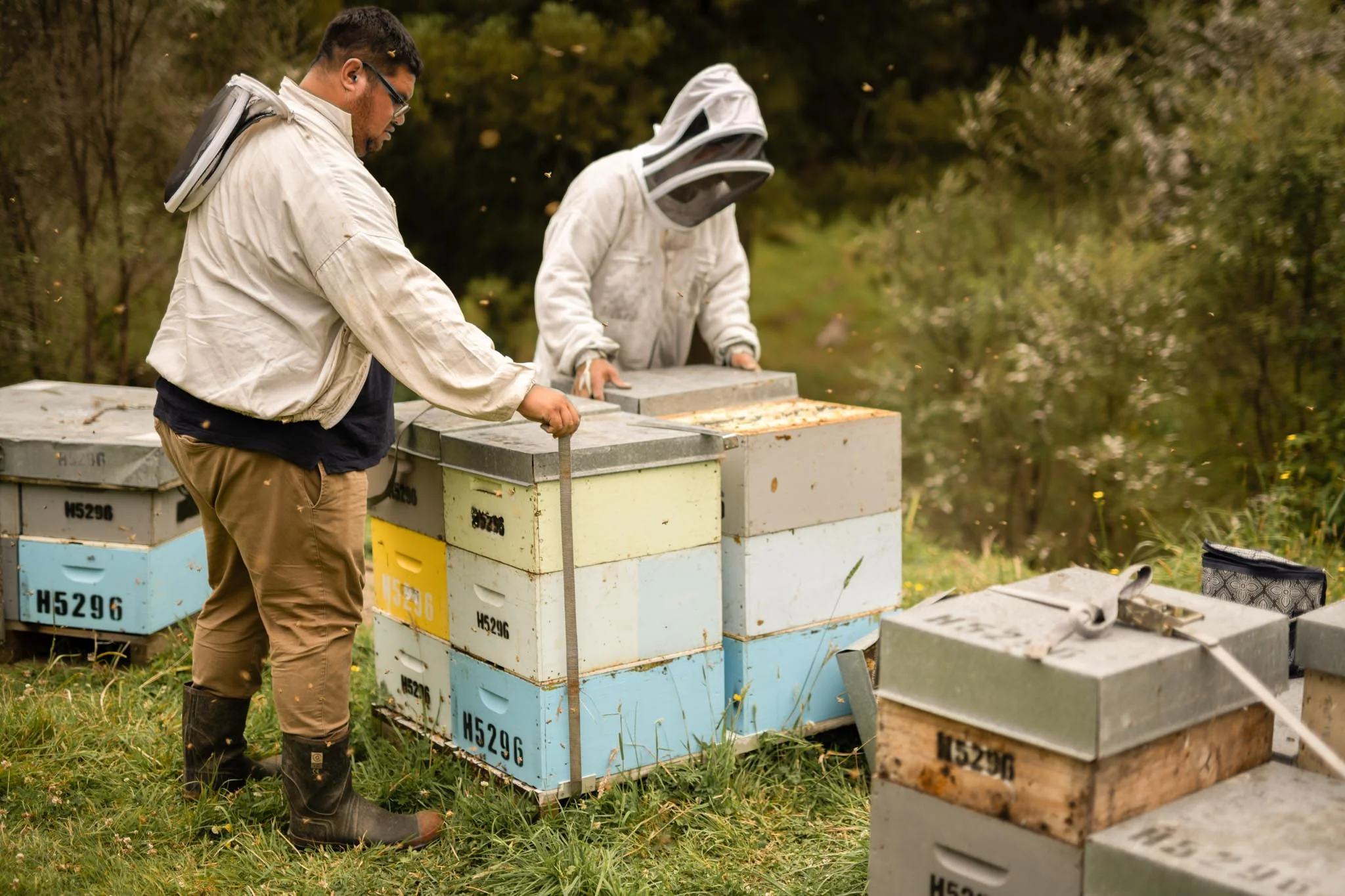 Karetu Honey project