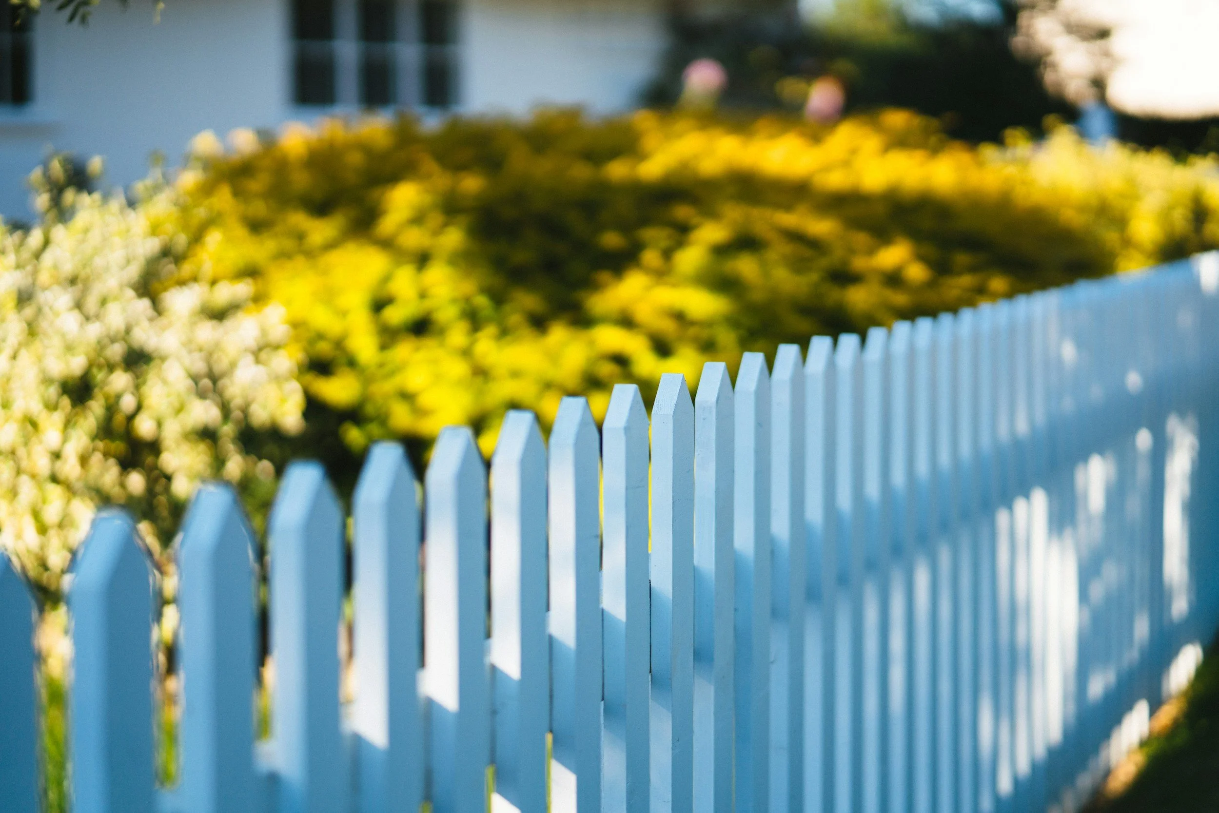 garden fence