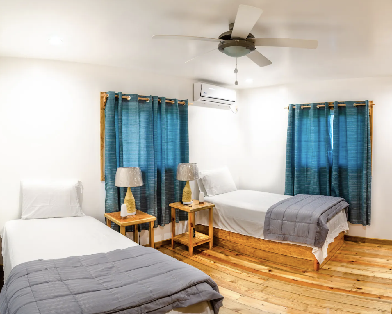 The Baby Trigger Fish Room