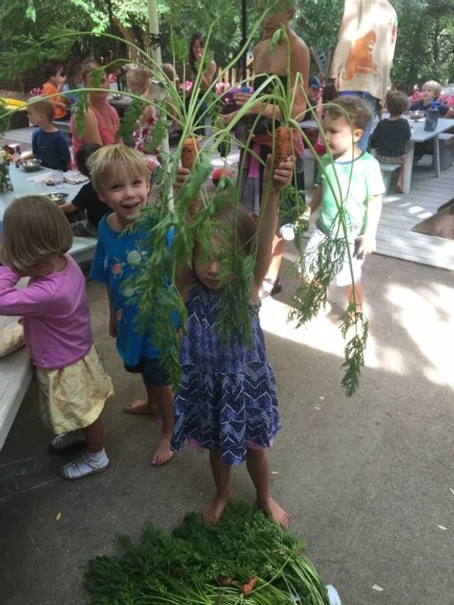 Autumn3 70896- (480x640).jpg