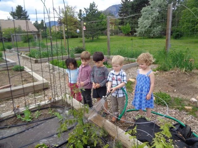 Garden.Watering.J.P. , Whitman, Seldron, Devin .jpg