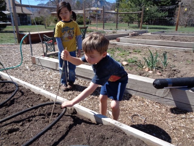 Benji, Osel 388 .jpg