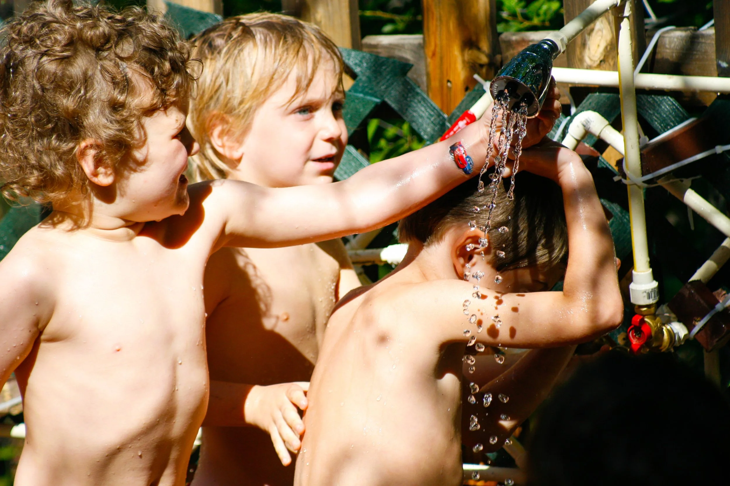 They're really saying.jpg