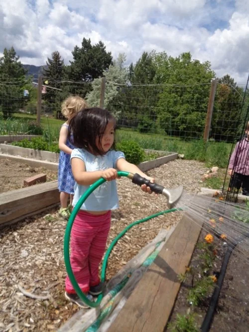 Garden.watering.Seldron 232.jpg