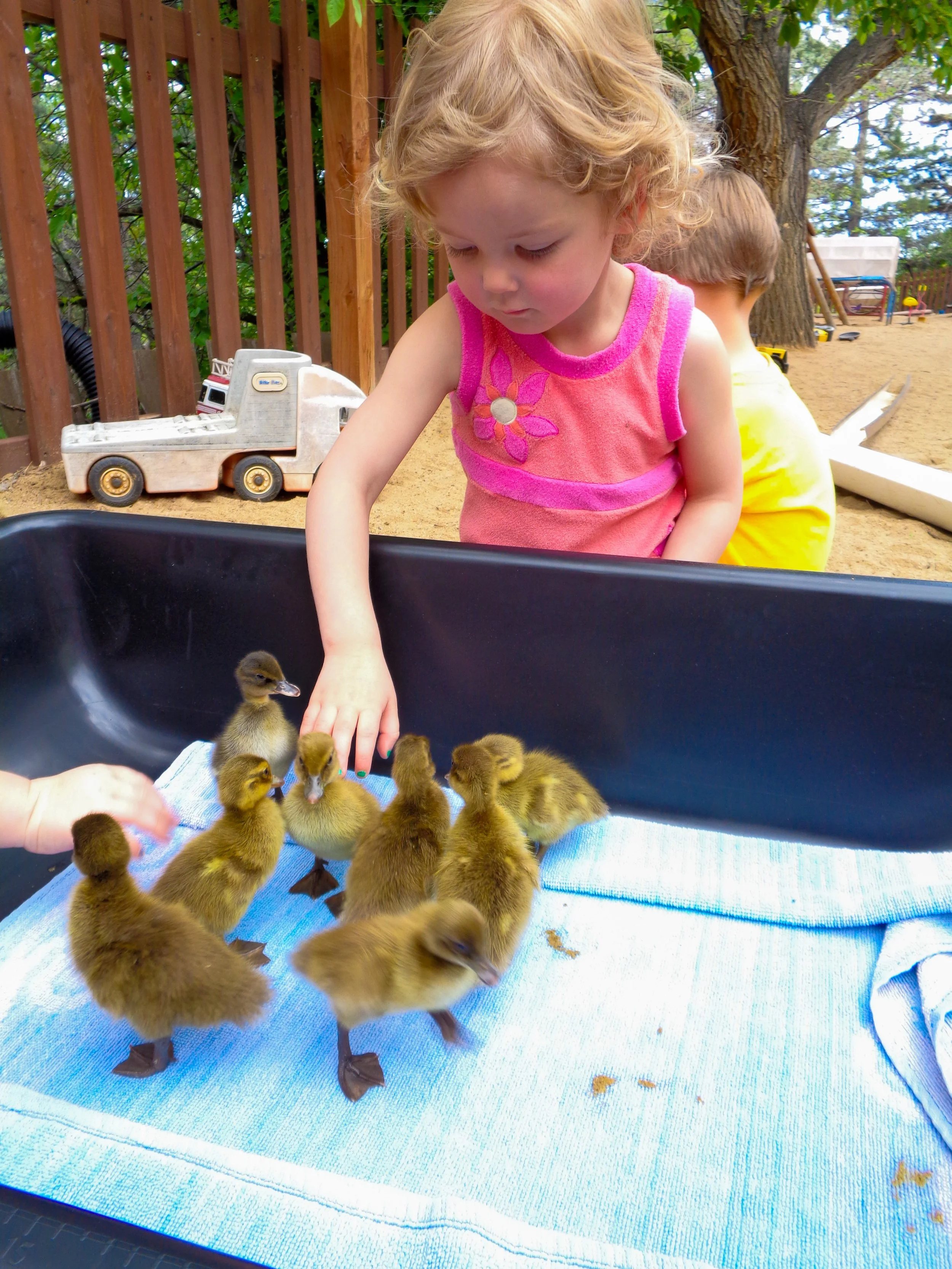 what a wonderful world.-2.jpg