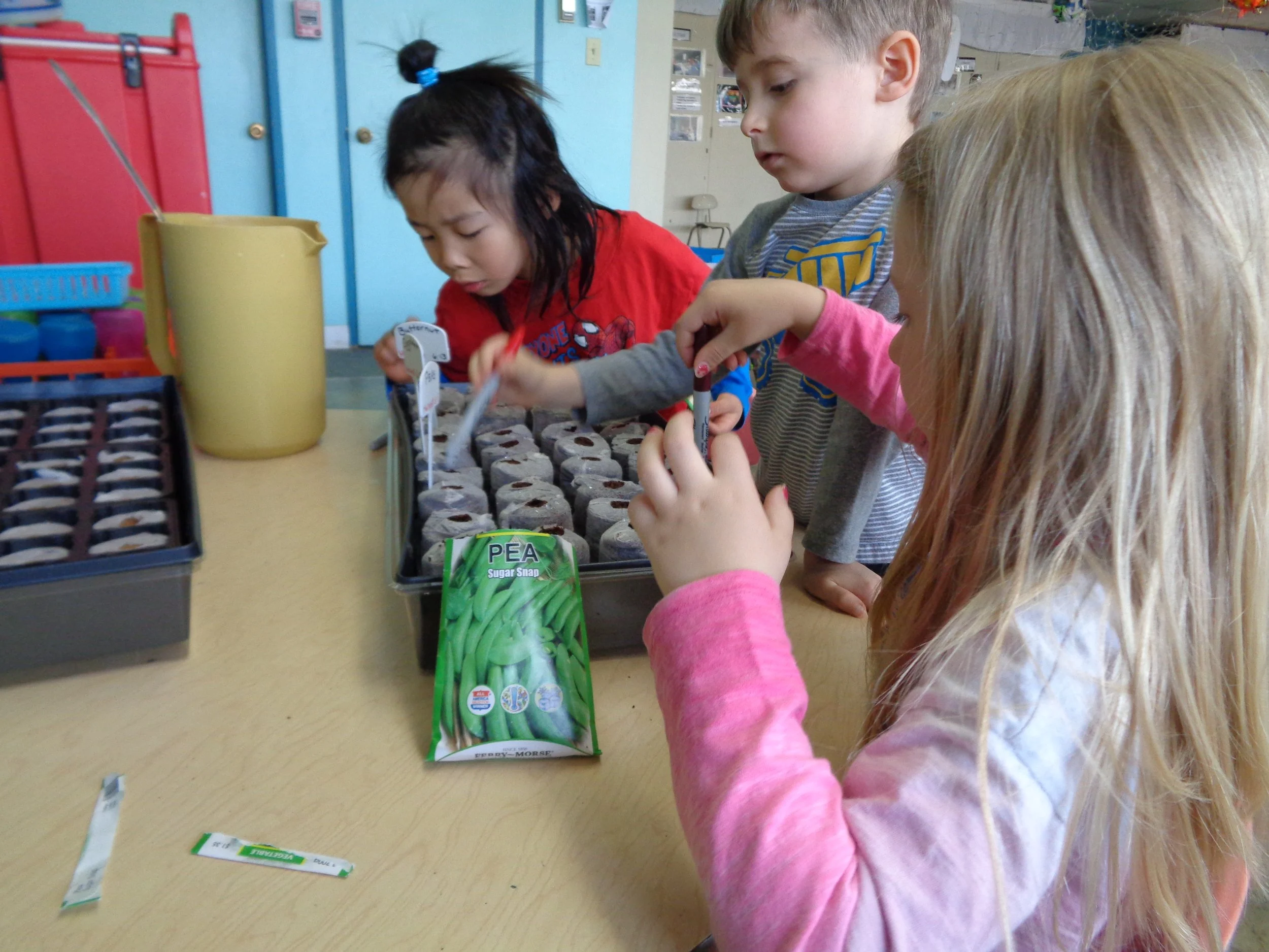 Benji, Starla, Osel 1222.JPG