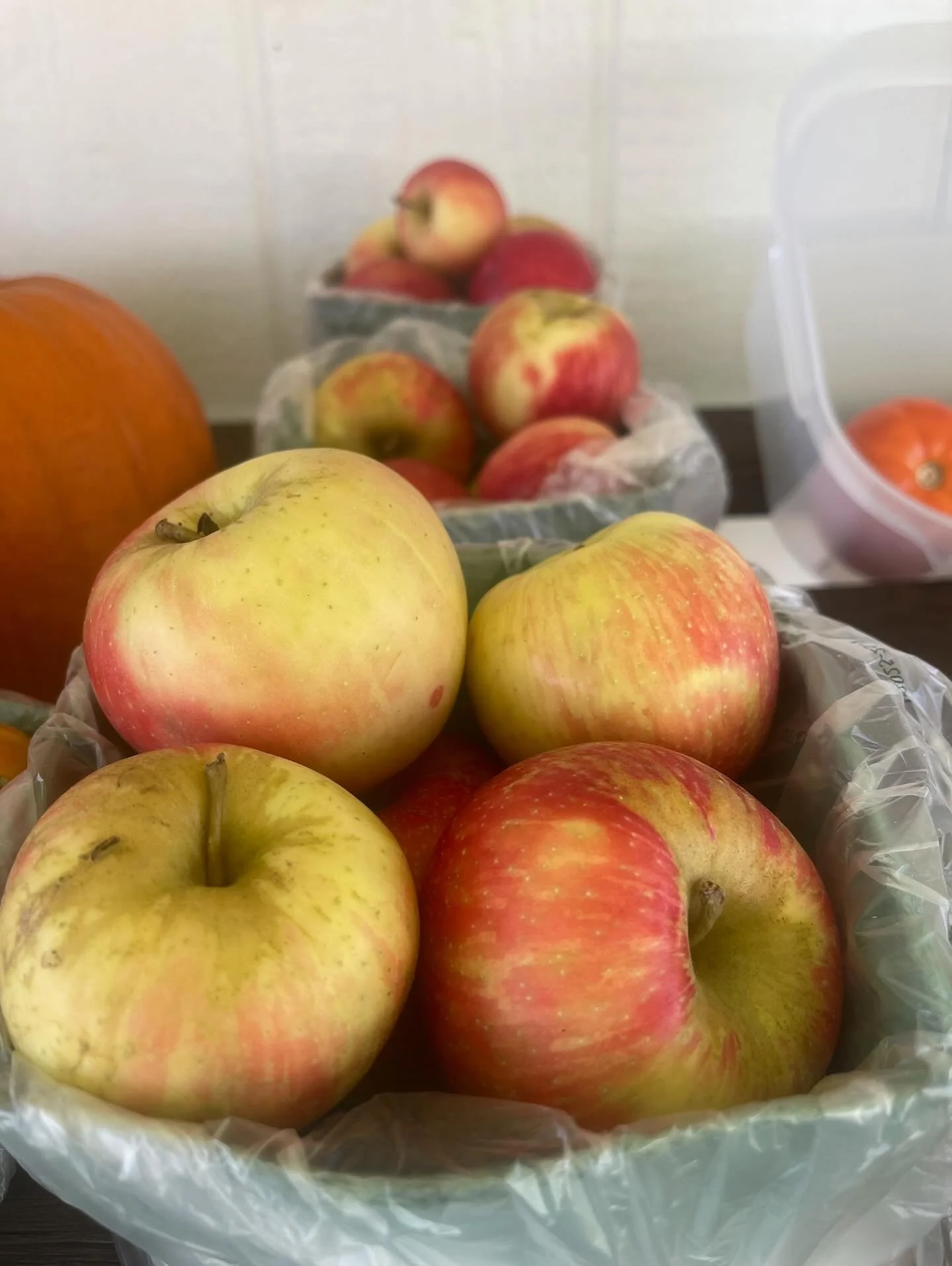 Honeycrisp apples&hellip;available for the next week or so at The Farm Store!  I am often reminded during harvest season as to why we as a family rarely buy produce out of season.  Because the flavor of homegrown, in-season local produce is unmatched