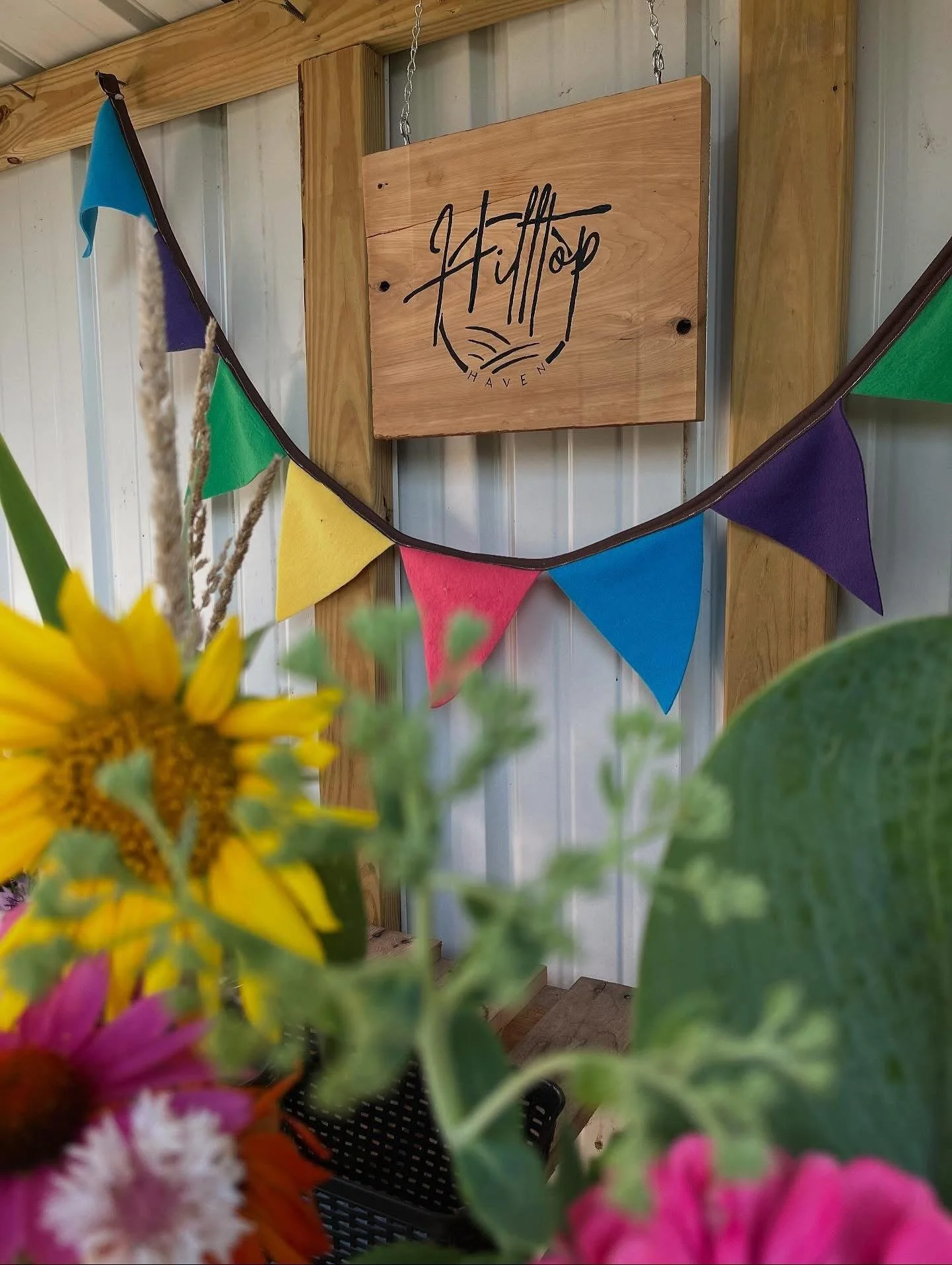 Hilltop Haven…flower bouquets, seeds, bulbs, hand painted cards!
Brittany provided beautiful flower bouquets during season and now offers flower seeds along with her daughter’s hand painted cards π
Stop by the store if you’re lo