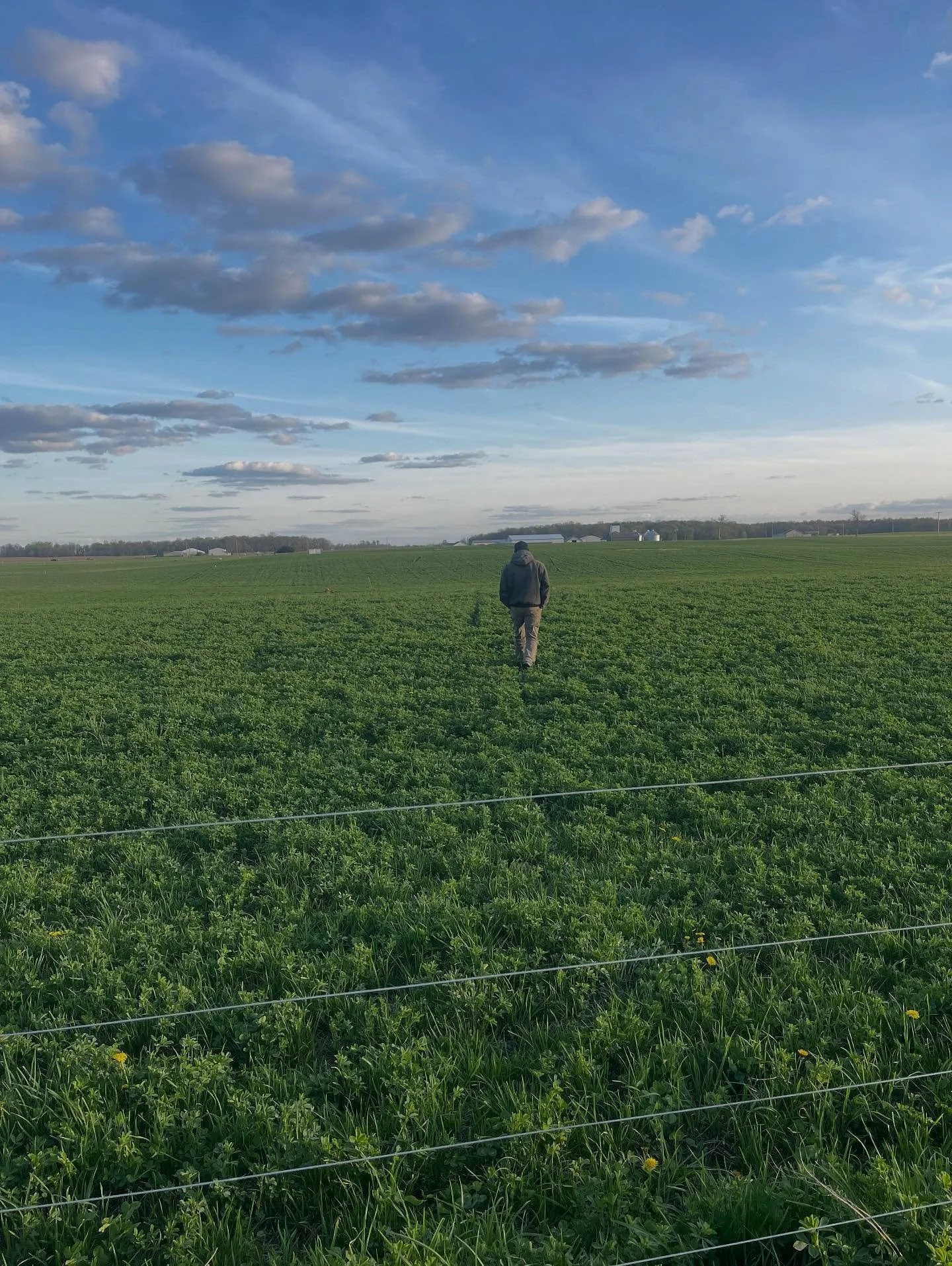 &ldquo;We have neglected the truth that a good farmer is a craftsman of the highest order, a kind of artist.&rdquo; -Wendell Berry &hearts;️