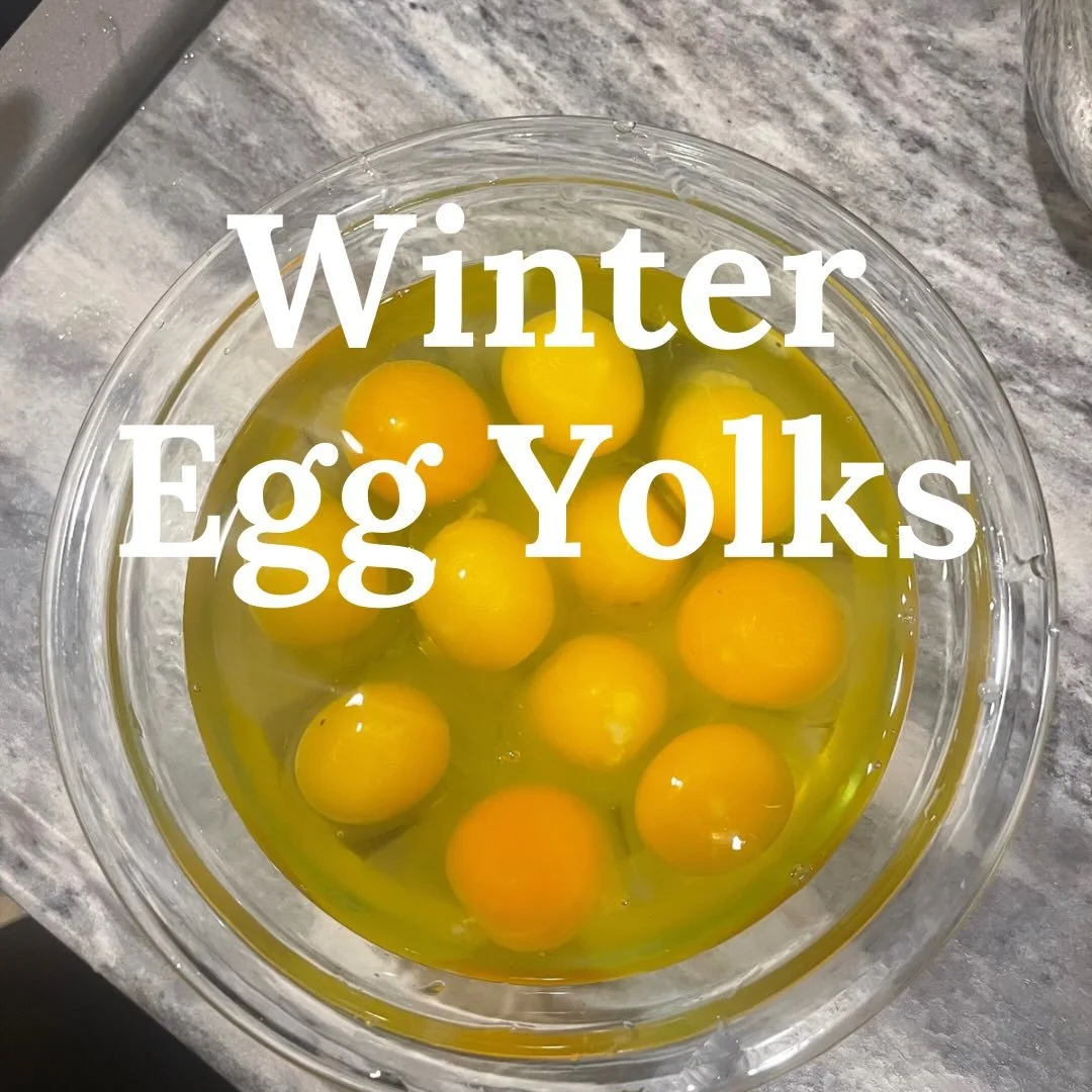 Our yearly changing winter egg yolk reminder post.  Our yolk colors will vary throughout the year and will vary from chicken to chicken.  And this time of year our yolks tend to be lighter, especially when there is frozen or snow covered ground.  Our
