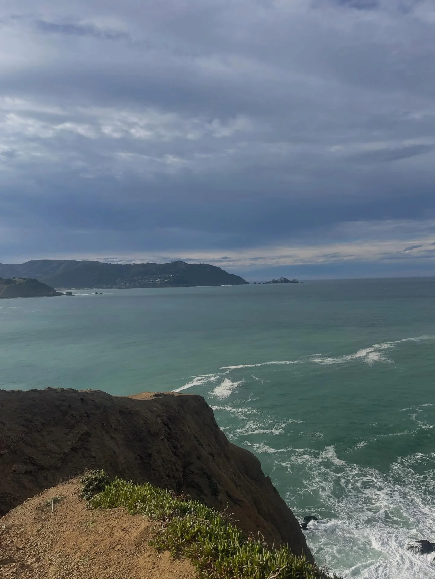 I joined the many things on our farm that use this time of year for rest and recovery.  Spending the week in California connecting to nature, soaking up the ocean energy, and being surrounded by an amazing community of friends was my way of welcoming