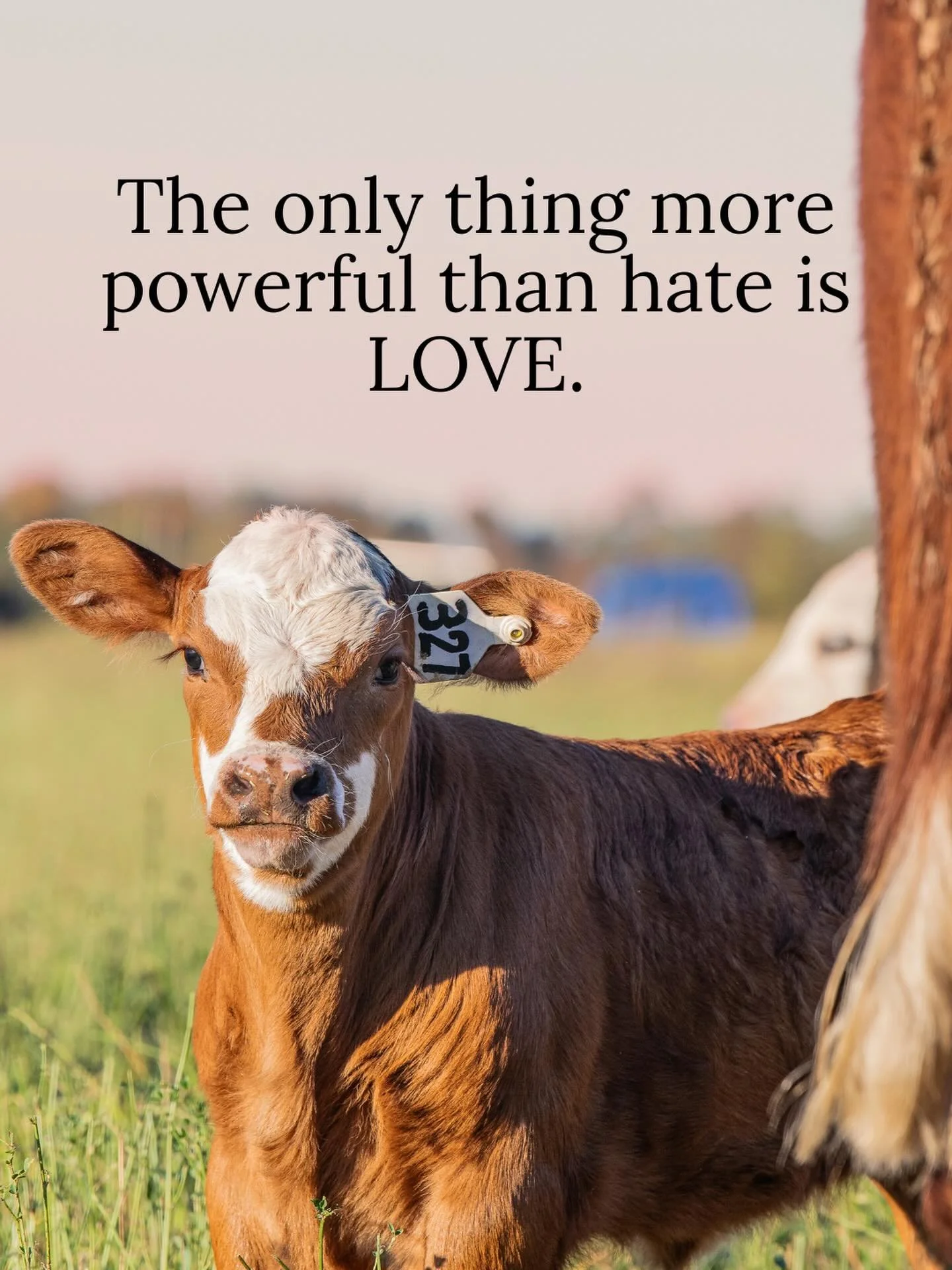 Happy LOVE day from this little cutie to you &hearts;️