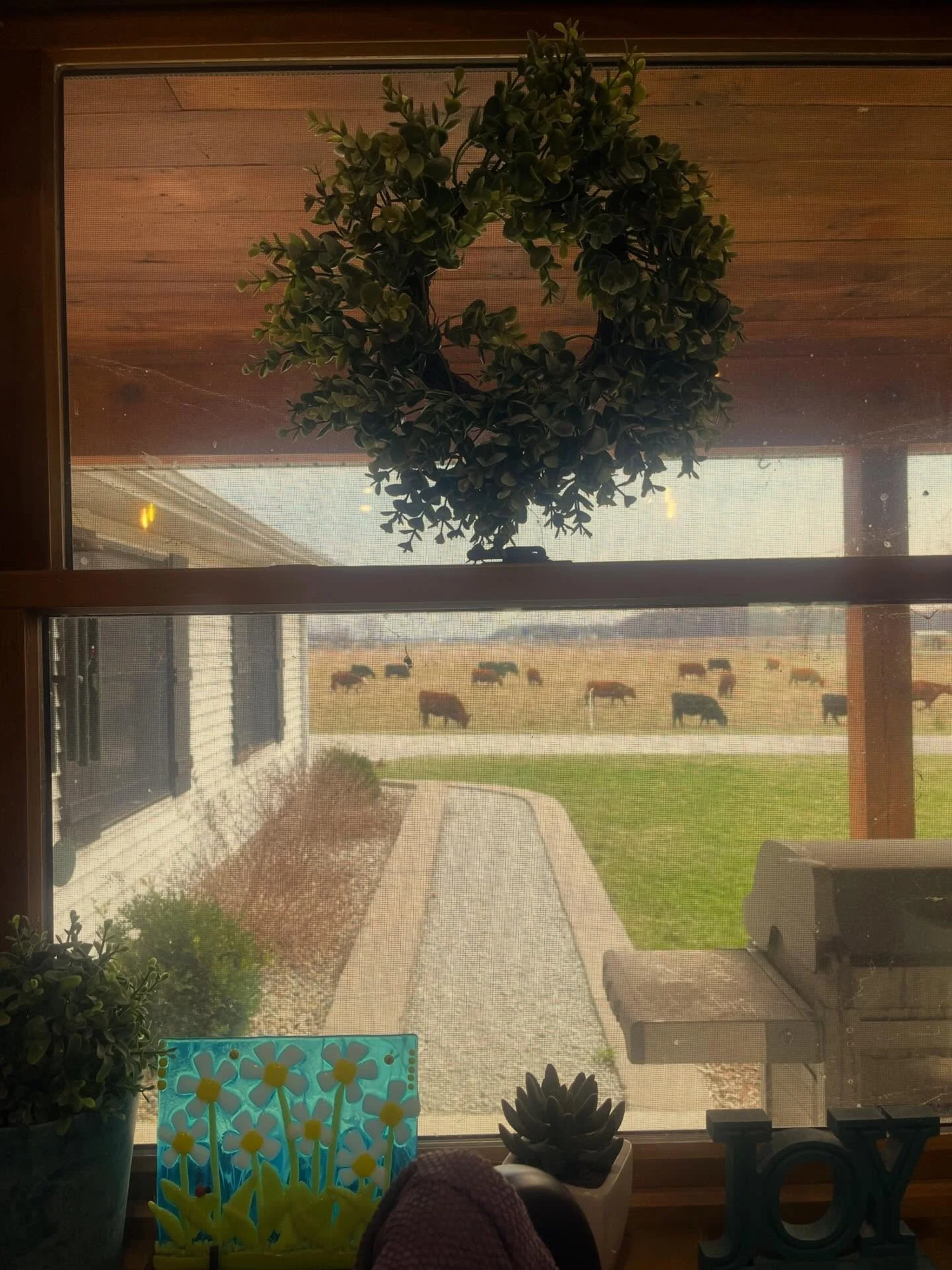 I live for kitchen window views like this &hearts;️