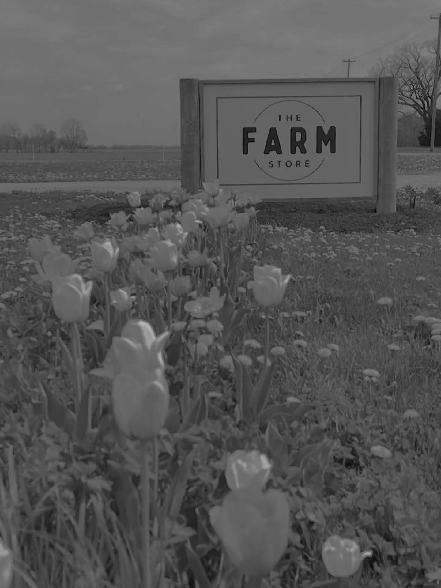 TWO WEEKS&hellip;from yesterday&hellip;is The Farm Store season opening event 🥳🥳🥳

Friday 10am-7pm and Saturday 2-5pm

We will have our freezer stocked with all of our grass fed and finished beef and pasture raised pork, along with our usuals&hell