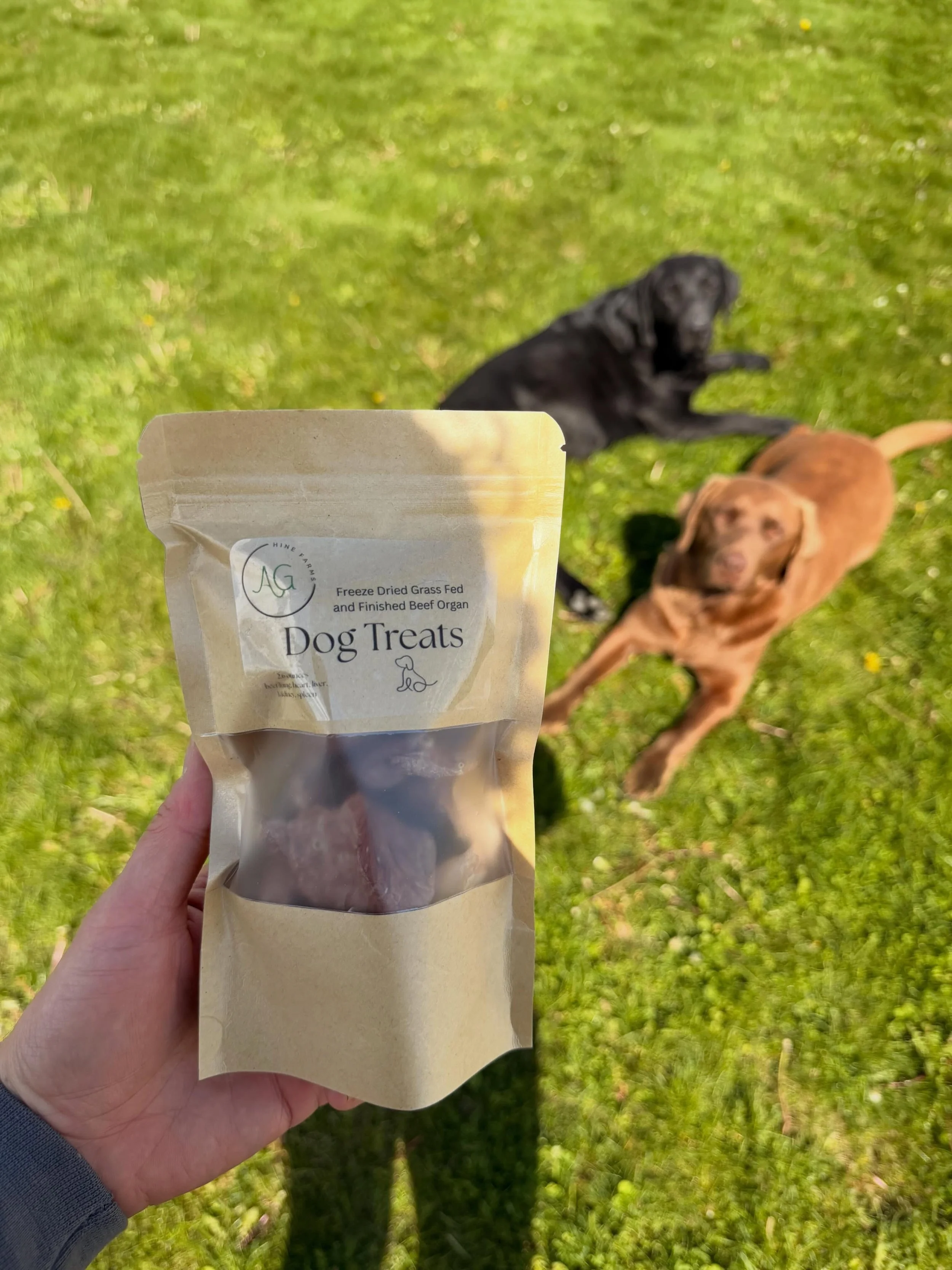 We&rsquo;ll have a small batch of freeze dried organ dog treats for the lucky canine in your life!  Available at The Farm Store and made from our grass fed and finished beef.

Coming this summer from Griffin and Amelia&rsquo;s expanding products&hell