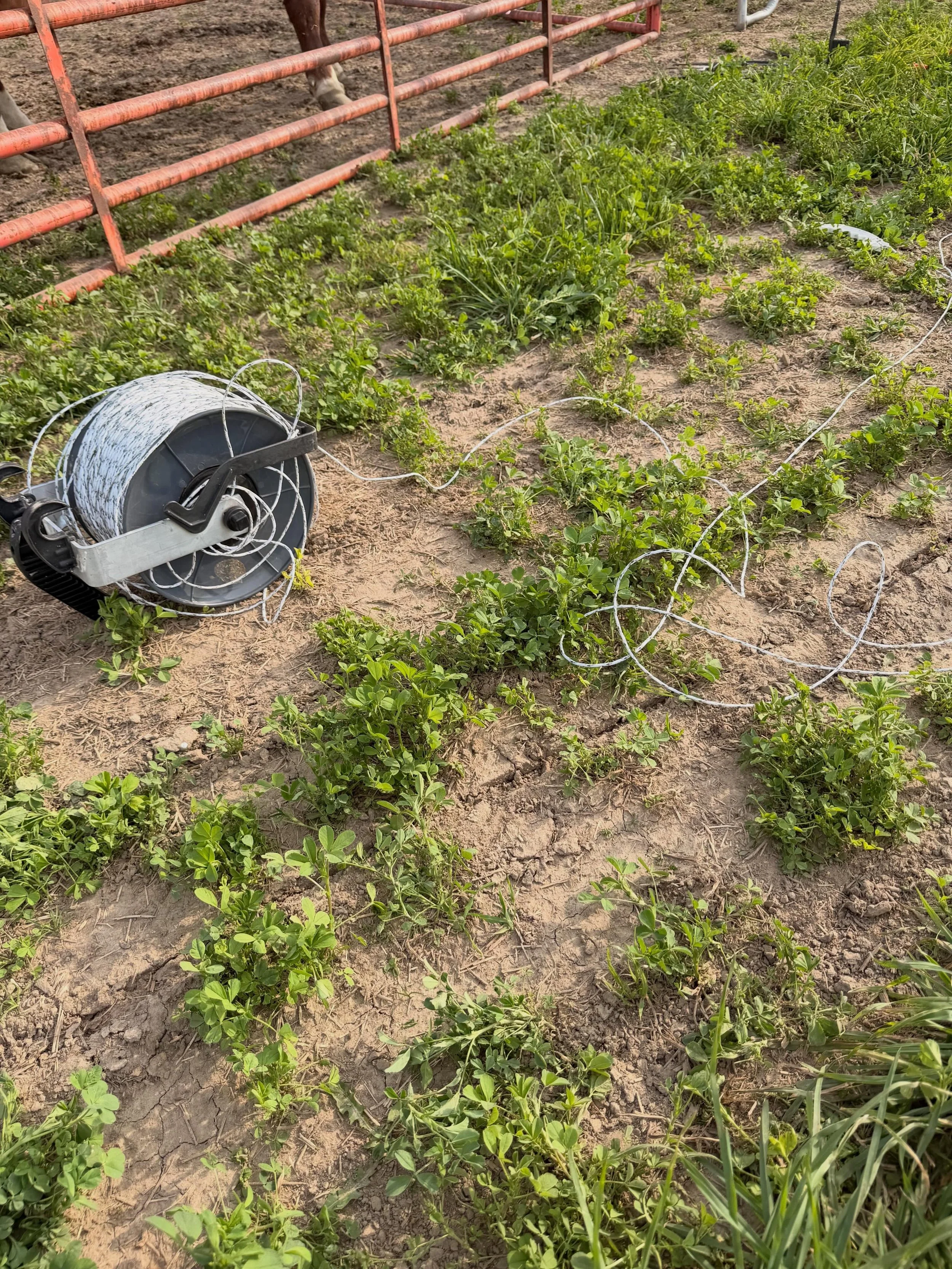Not all weeks go according to plan&hellip;this week started on Sunday with sorting and loading cattle as a family.  And this poly wire reel is a great example of how that went 😒&hellip;the only silver lining is that this happened at the end of worki