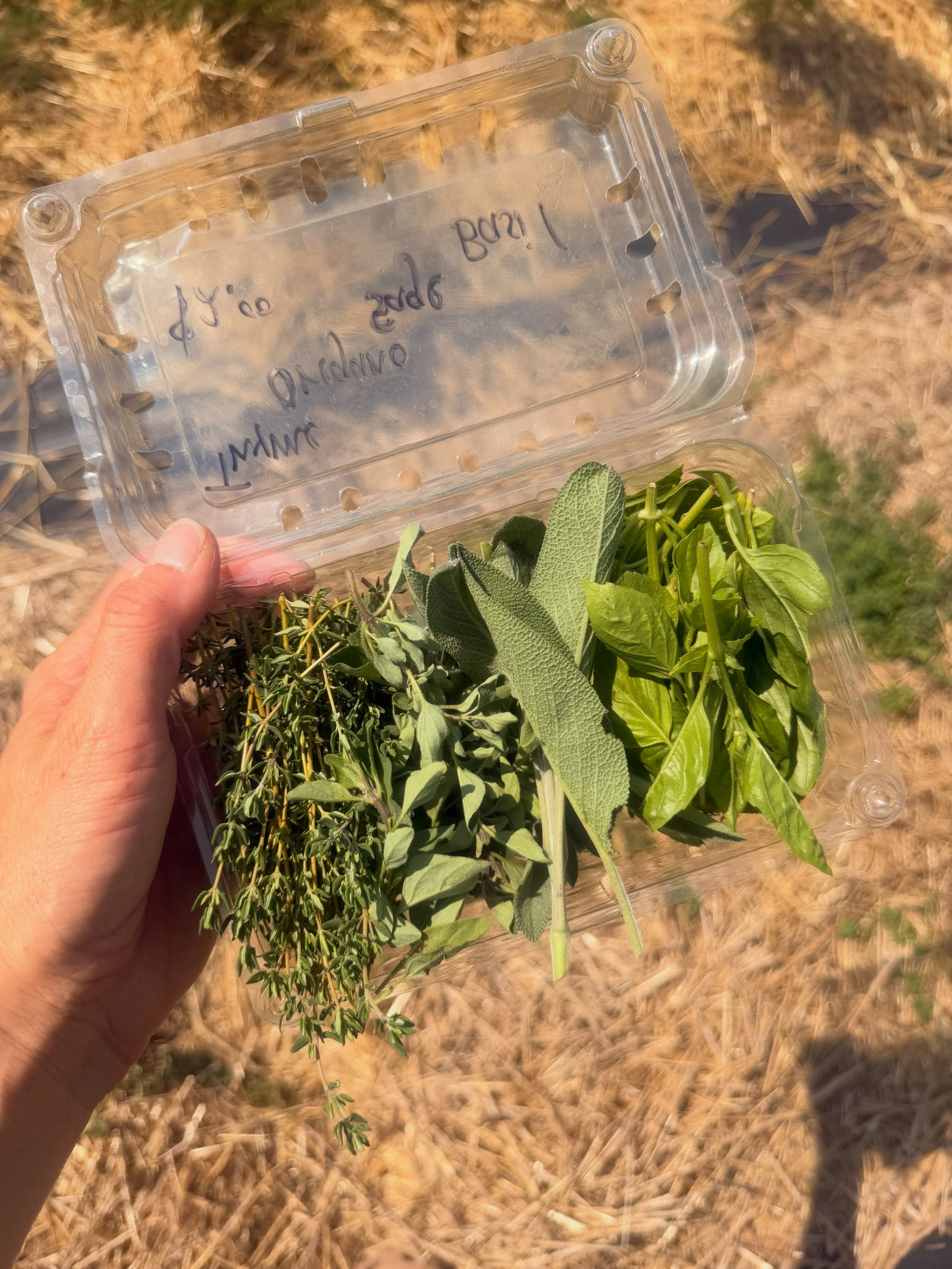 We have fresh herbs 🥳

I added a mixed herb box to The Farm Store refrigerator.  Each box contains oregano, thyme, sage, and basil 🌿

While I typically harvest for dried herbs for ourselves and the store, I do enjoy adding fresh herbs to my recipes