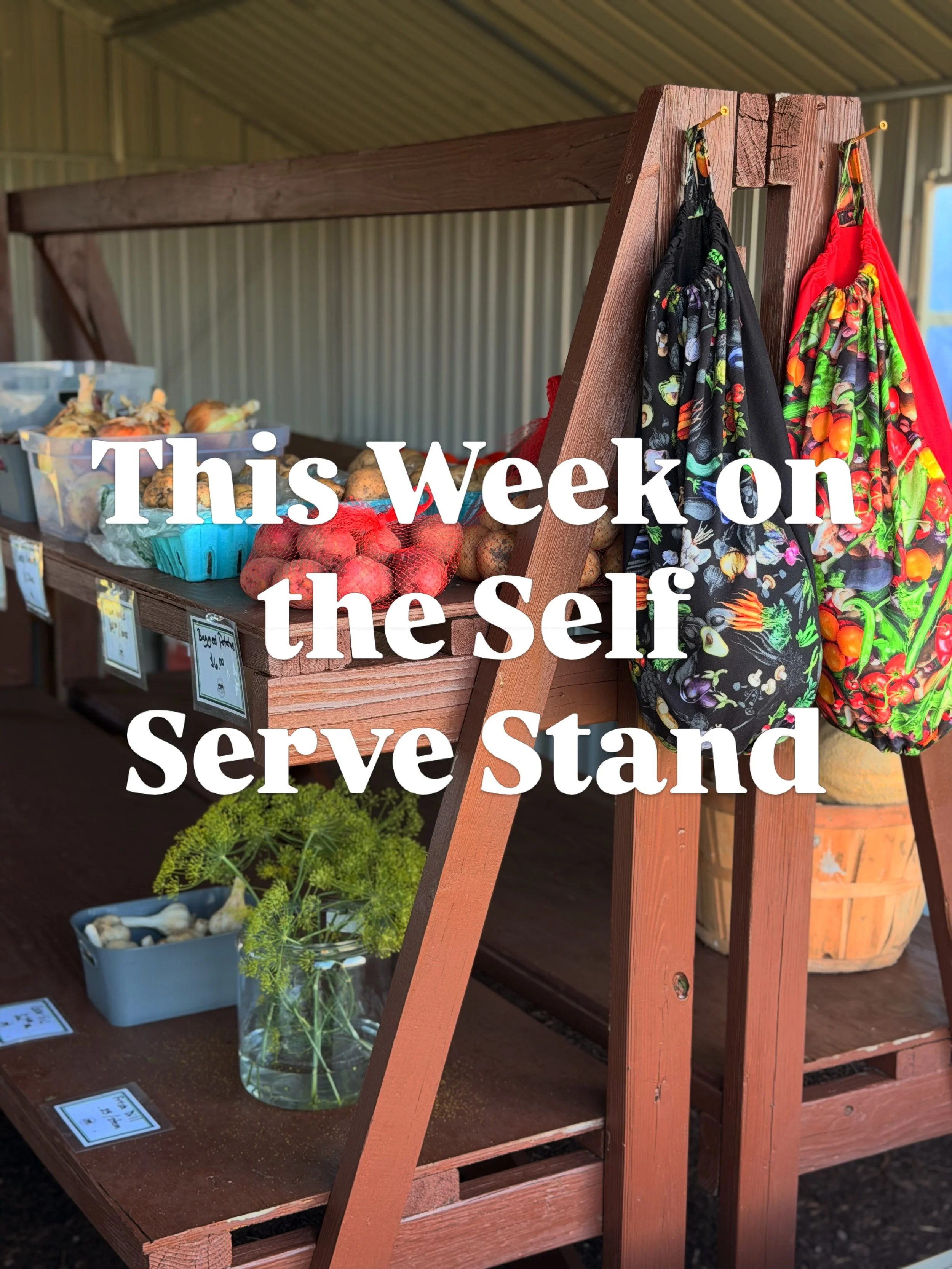Today (7/30) on the self serve stand at The Farm Store!
🍈🍅🧄🥒🥔🌶️🧅
Cantaloupe
Tomatoes
Zucchini
Candy onions
Purple onions
Garlic
Potatoes
Fresh dill
Cucumbers 
Jalape&ntilde;os 
Heatless jalape&ntilde;os
Carrots
Beets

We are open daily dawn to