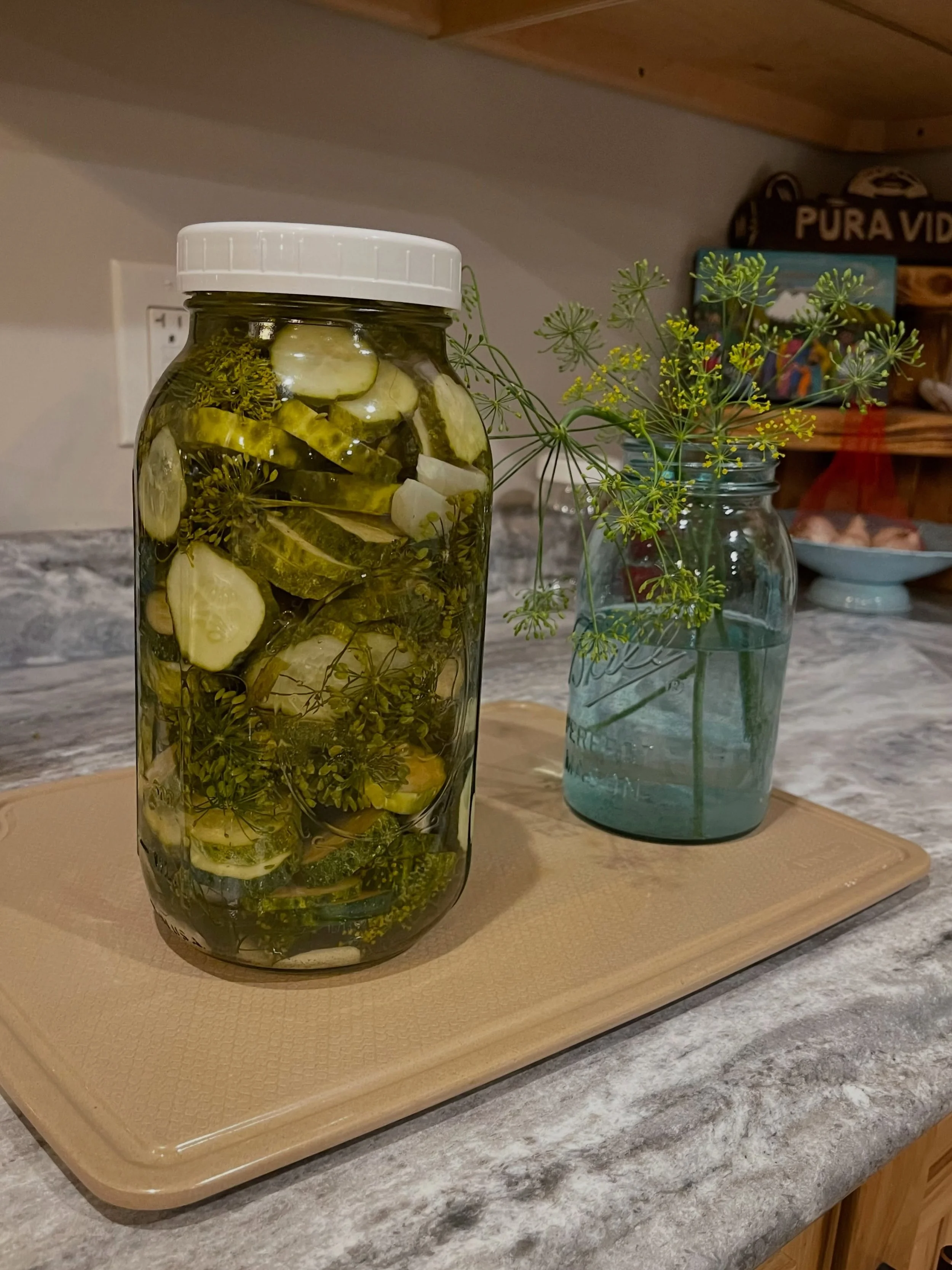 Refrigerator dill pickles&hellip;our absolute favorite in season pickle preserving recipe!

The pickles are crisp, delicious, and can be cut into any shape you&rsquo;d like.  And we have ALL the produce ingredients available at The Farm Store self se
