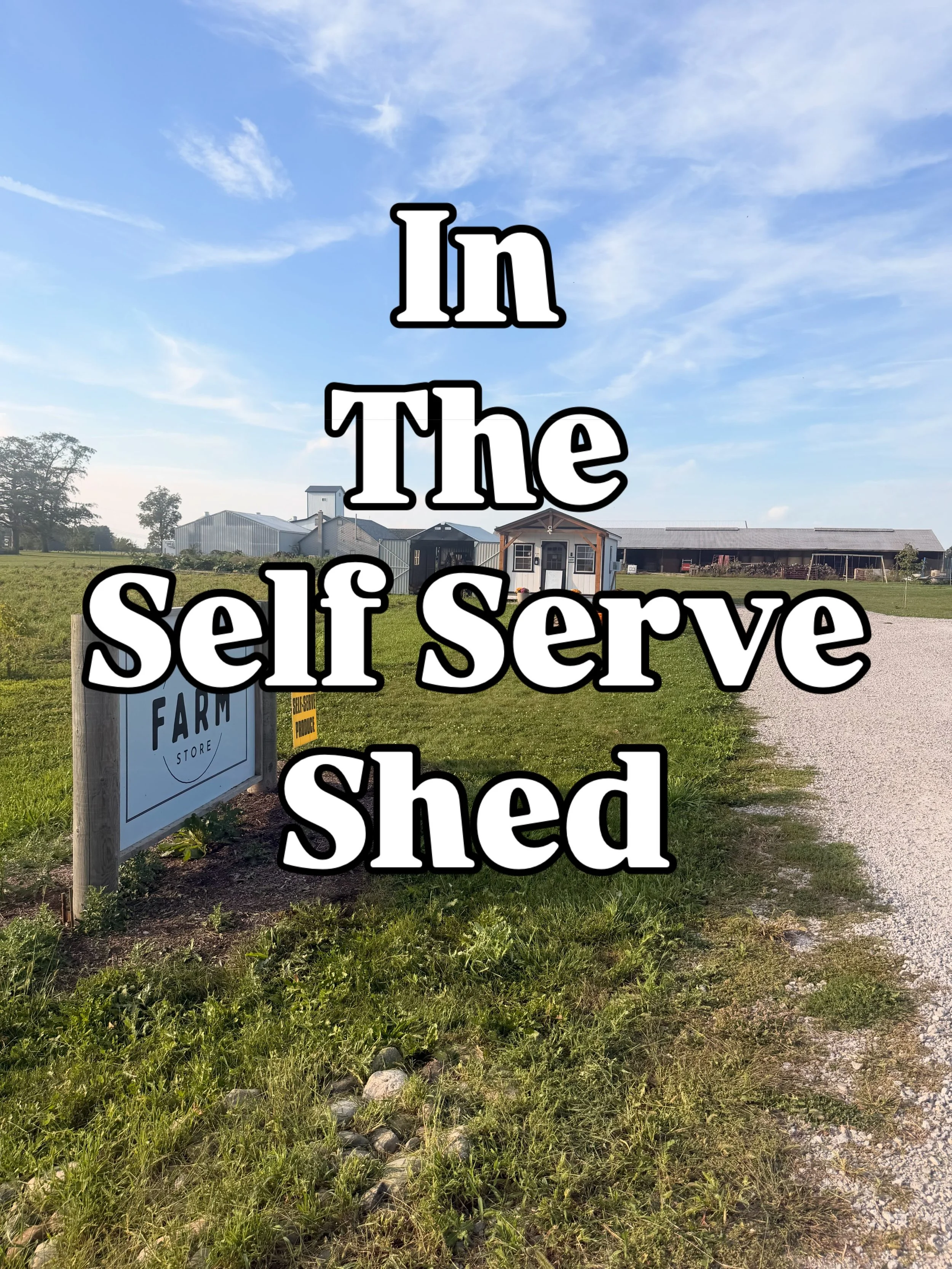 9/12:  In the Self Serve Shed
🍎🫑🍅🥔🧄🌶️🧅
Honeycrisp Apples
Tomatoes (green, cherry, small slicers)
Zucchini
Summer squash
Candy onions
Garlic
Yukon Gold potatoes 
Red potatoes
Heatless jalape&ntilde;os 
Jalape&ntilde;os 
Bell peppers 
Poblano pe