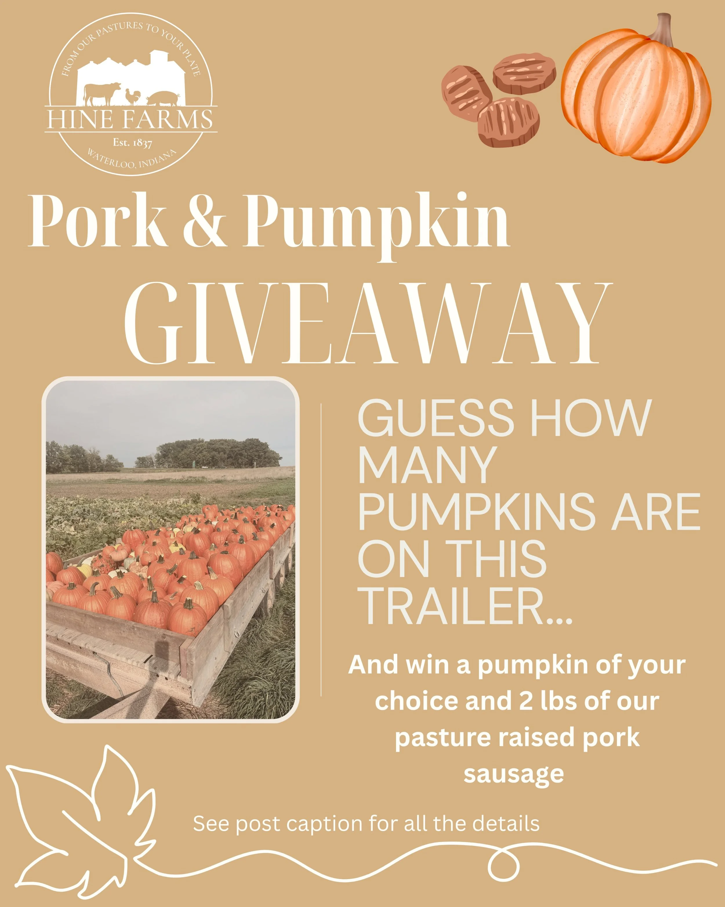 Pork and Pumpkin Giveaway 🥳

Guess how many pumpkins are on our trailer in this photo for a chance to take home one of our pumpkins and a couple of pounds of our pasture raised pork sausage!

Be the closest guess without going over and you can pick 