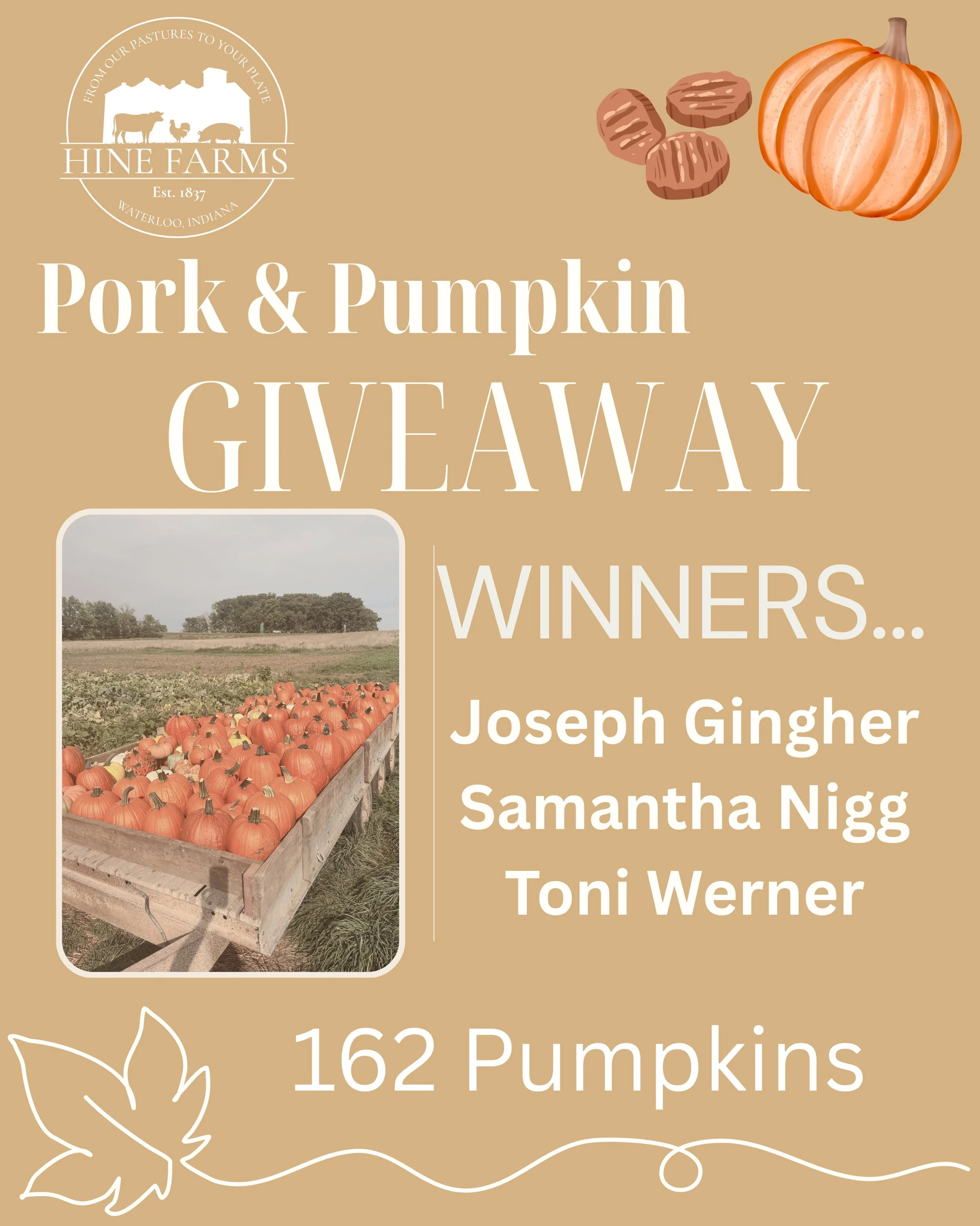 Thank you to everyone who took the time to guess how many pumpkins were on our trailer!!

There were 162 pumpkins on the trailer&hellip;

And THREE of you guessed the correct answer!

So, each of you will get pork and your choice of pumpkins from our