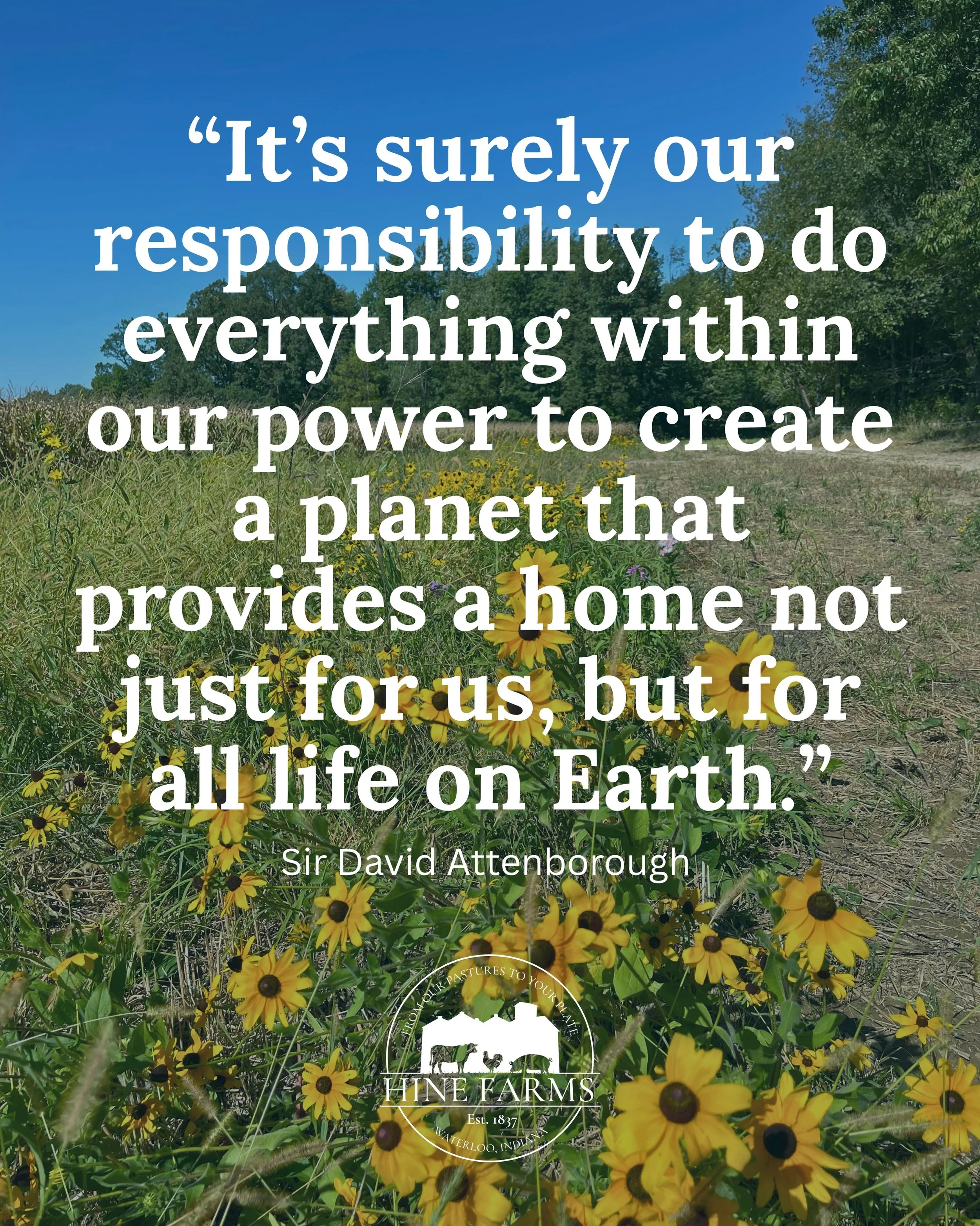 I will continue to appreciate all the ways the great environmentalists, naturalists, and conservationists have so eloquently &ldquo;pleaded&rdquo; with us humans to &lsquo;give a damn&rsquo; about this beautiful spinning rock we get to call home &hea