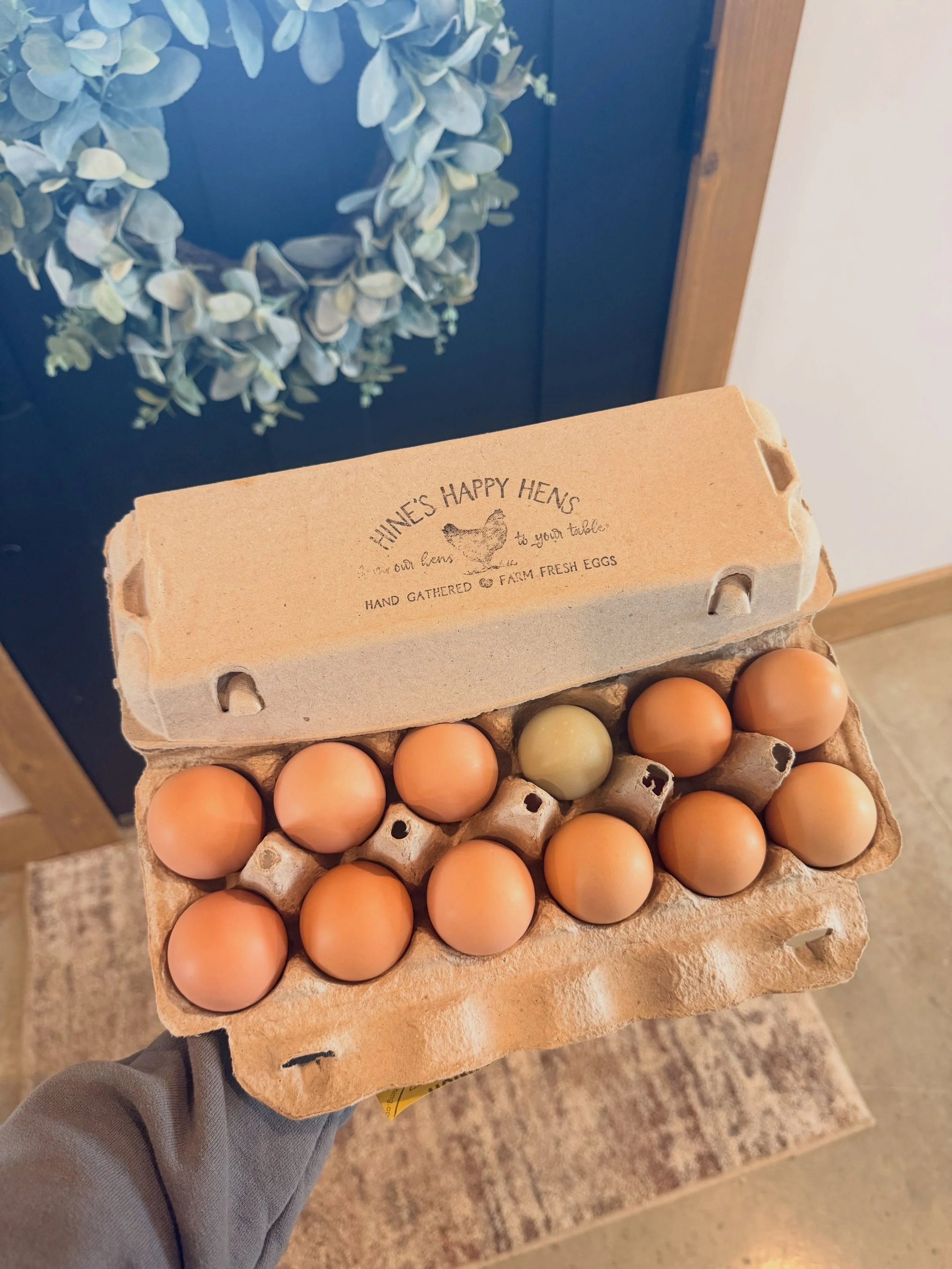 I spy a green egg&hellip;we have an imposter amongst our new flock of hens!  Apparently an Olive Egger disguised herself as a Plymouth Blue Rock (and I&rsquo;m not mad about it 🥰).

So to all of our egg customers&hellip;you may be the lucky person t