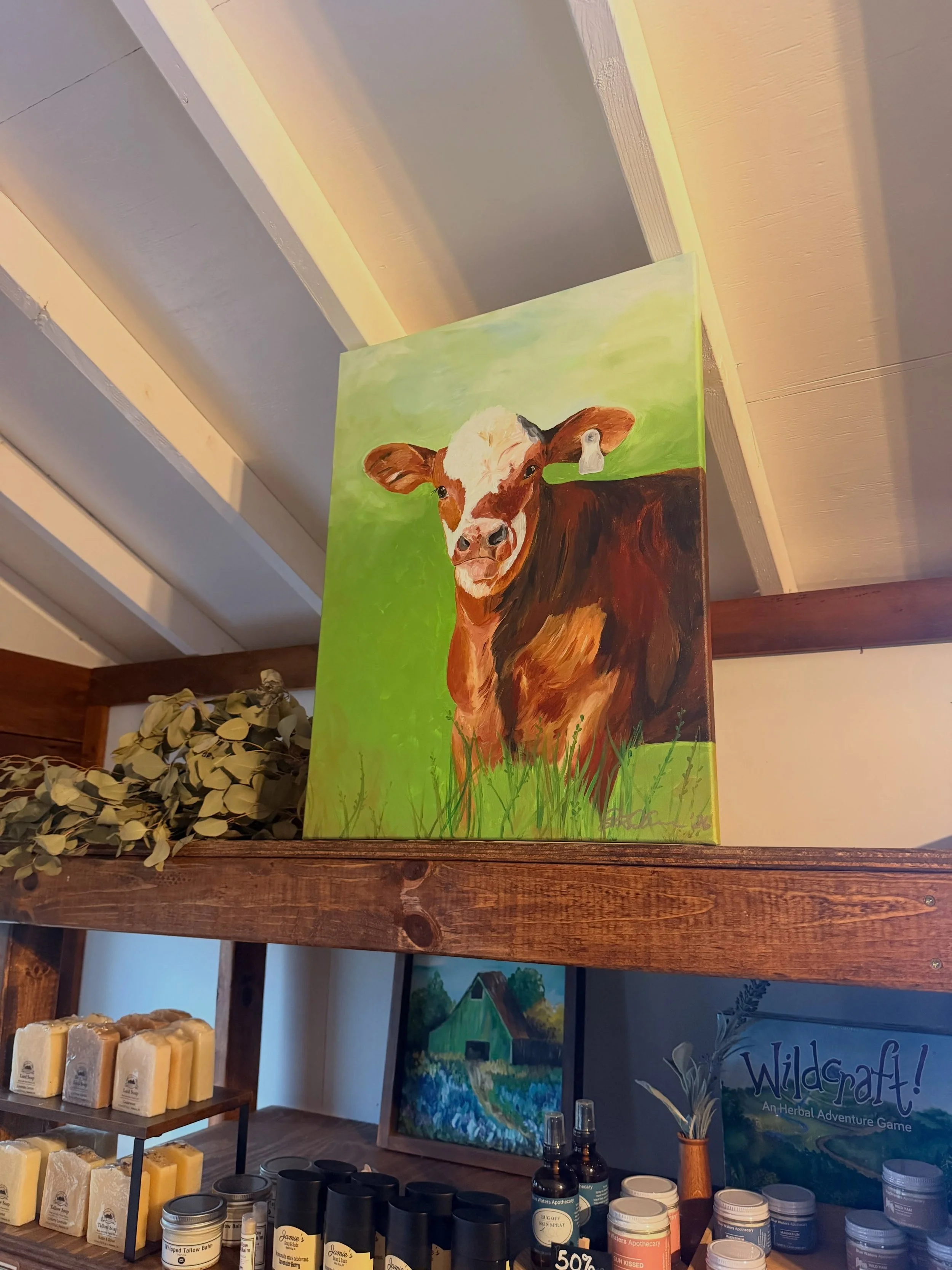 New artwork in The Farm Store thanks to a friend and OG farm customer.  This pretty heifer painting now faces the original hen painting from our first flock on our store shelves.
😍

Jessica does amazing work and beautifully captured my favorite heif